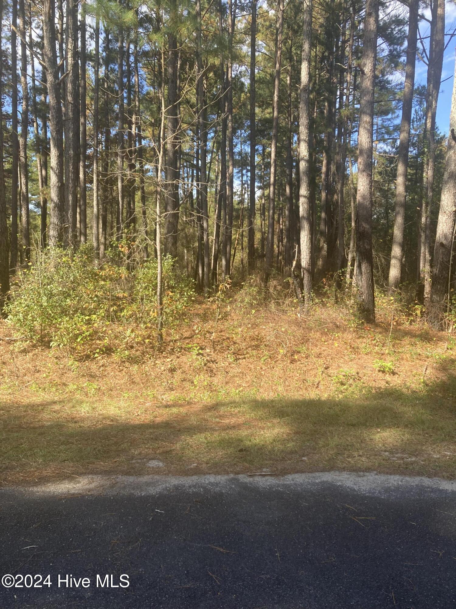 Lot 67 Bucknell Lane Property Photo