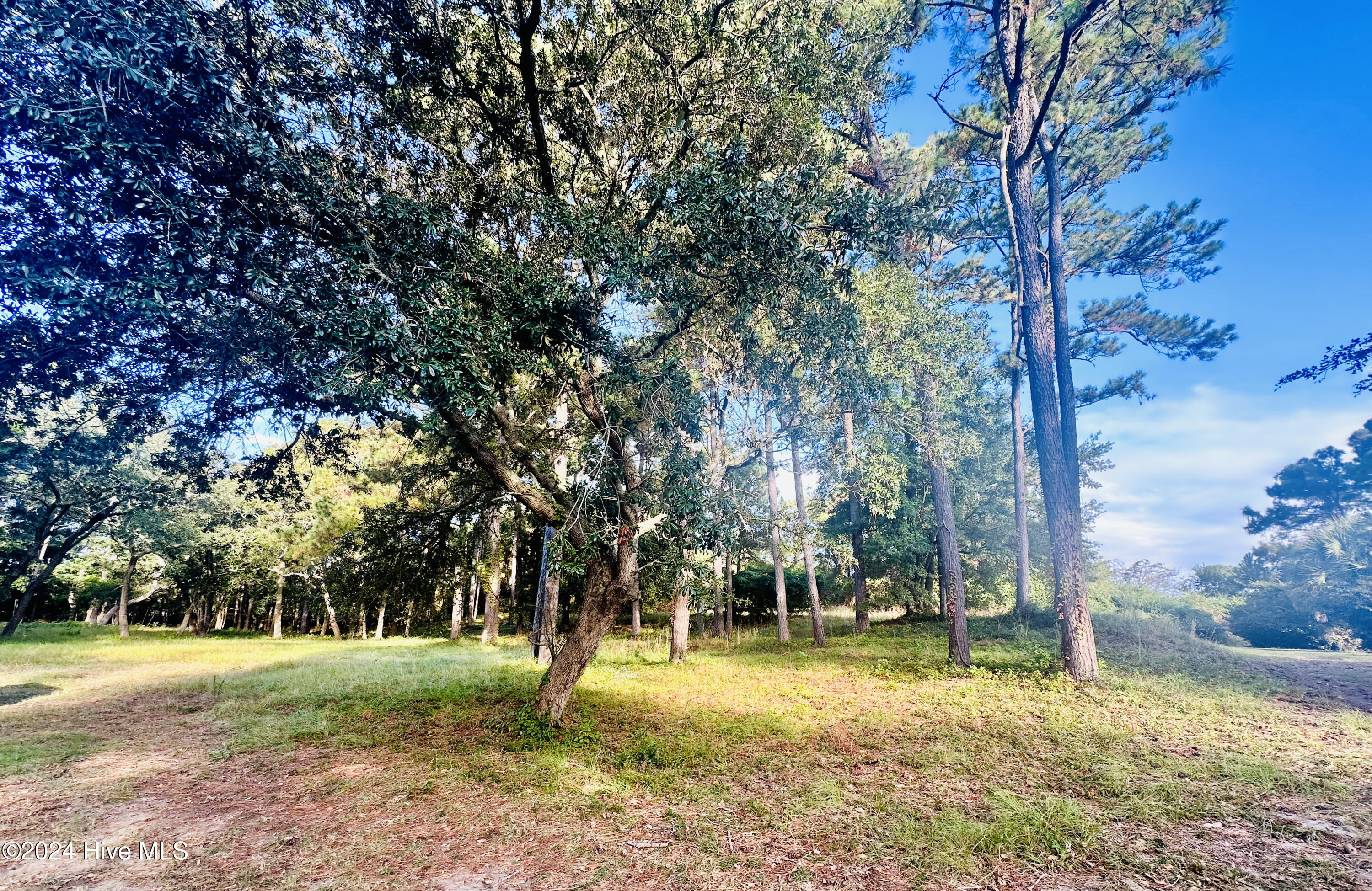 4008 Barnes Bluff Drive Property Photo 3
