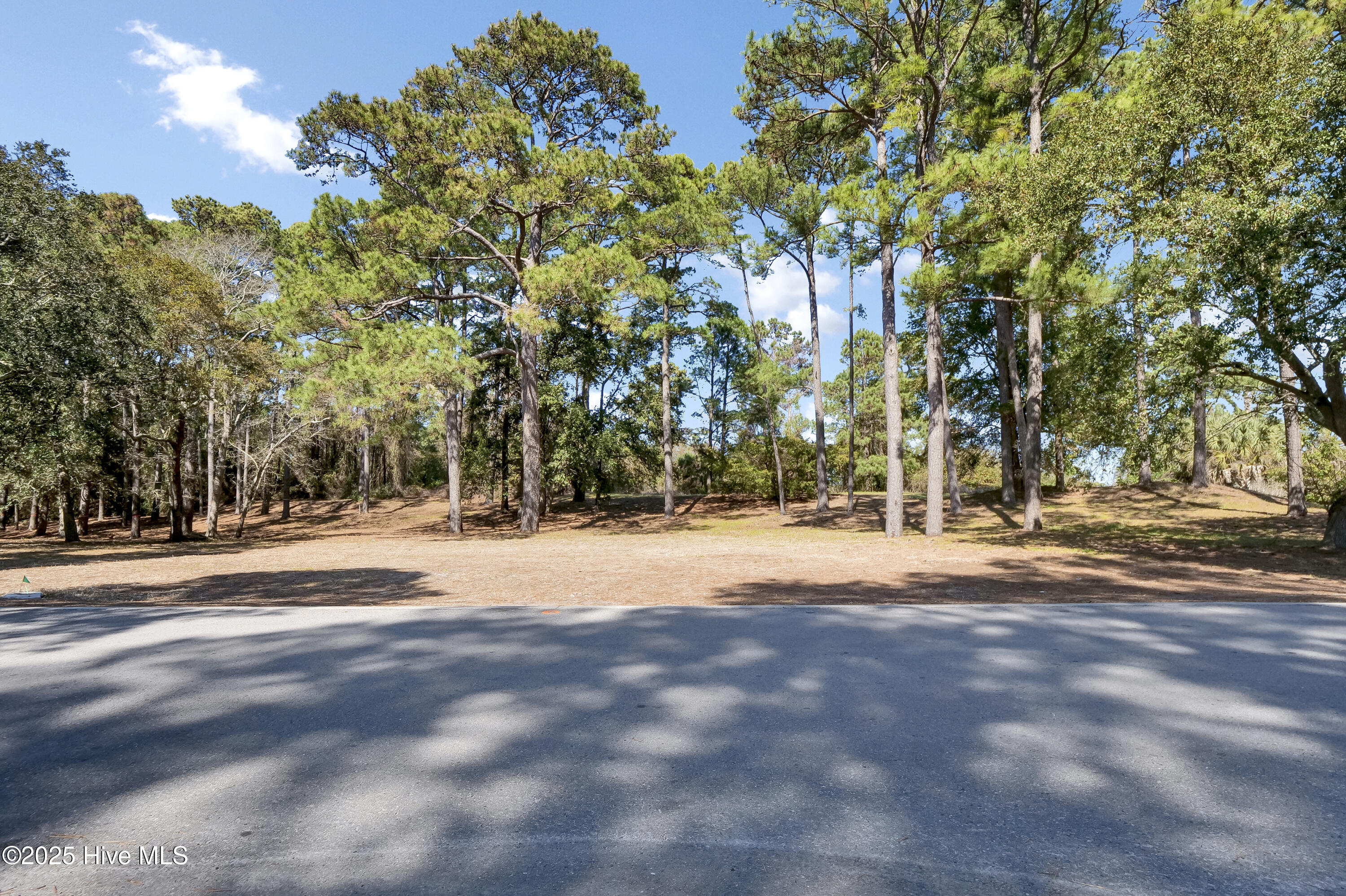 4008 Barnes Bluff Drive Property Photo 24