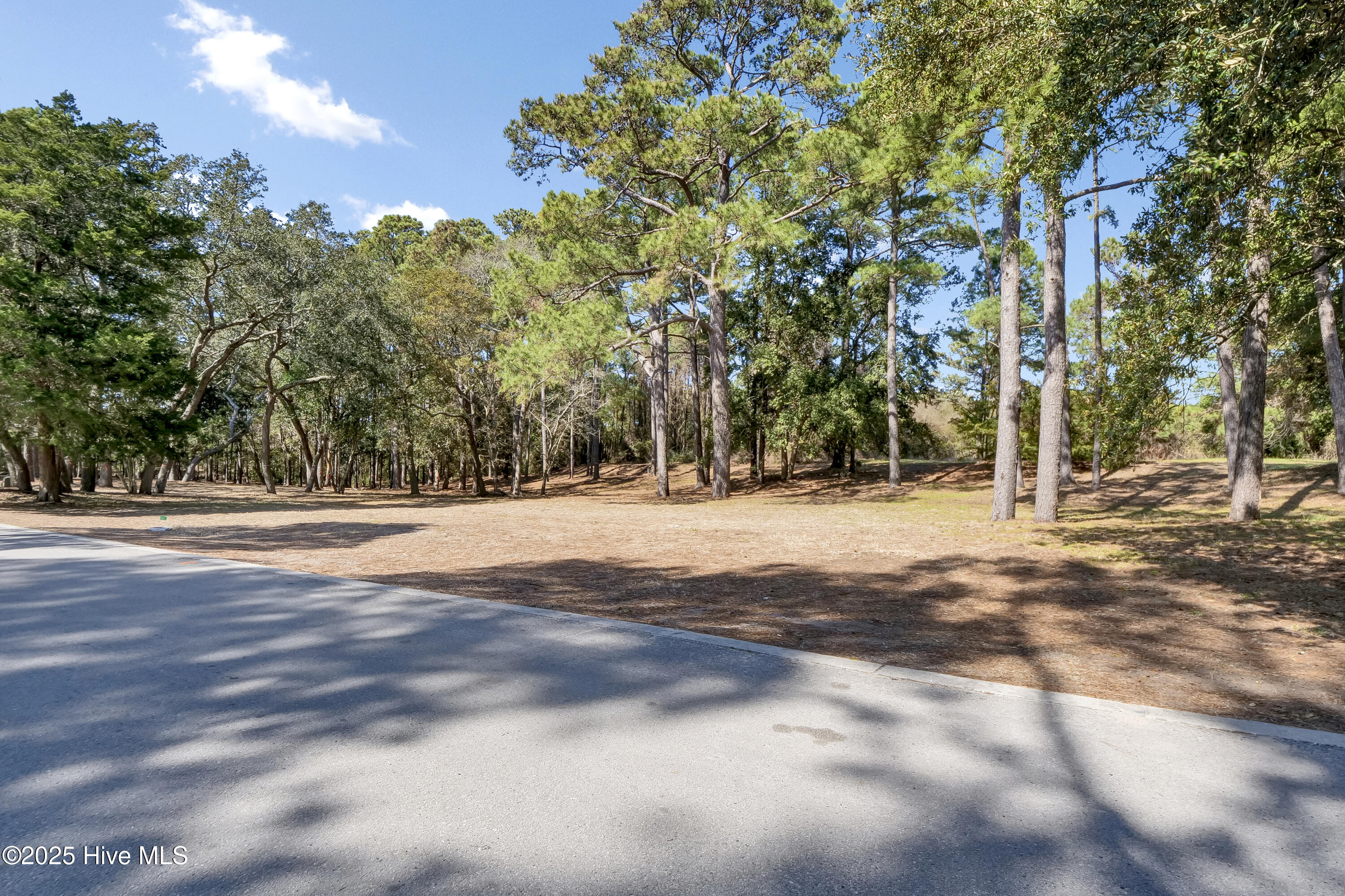 4008 Barnes Bluff Drive Property Photo 25