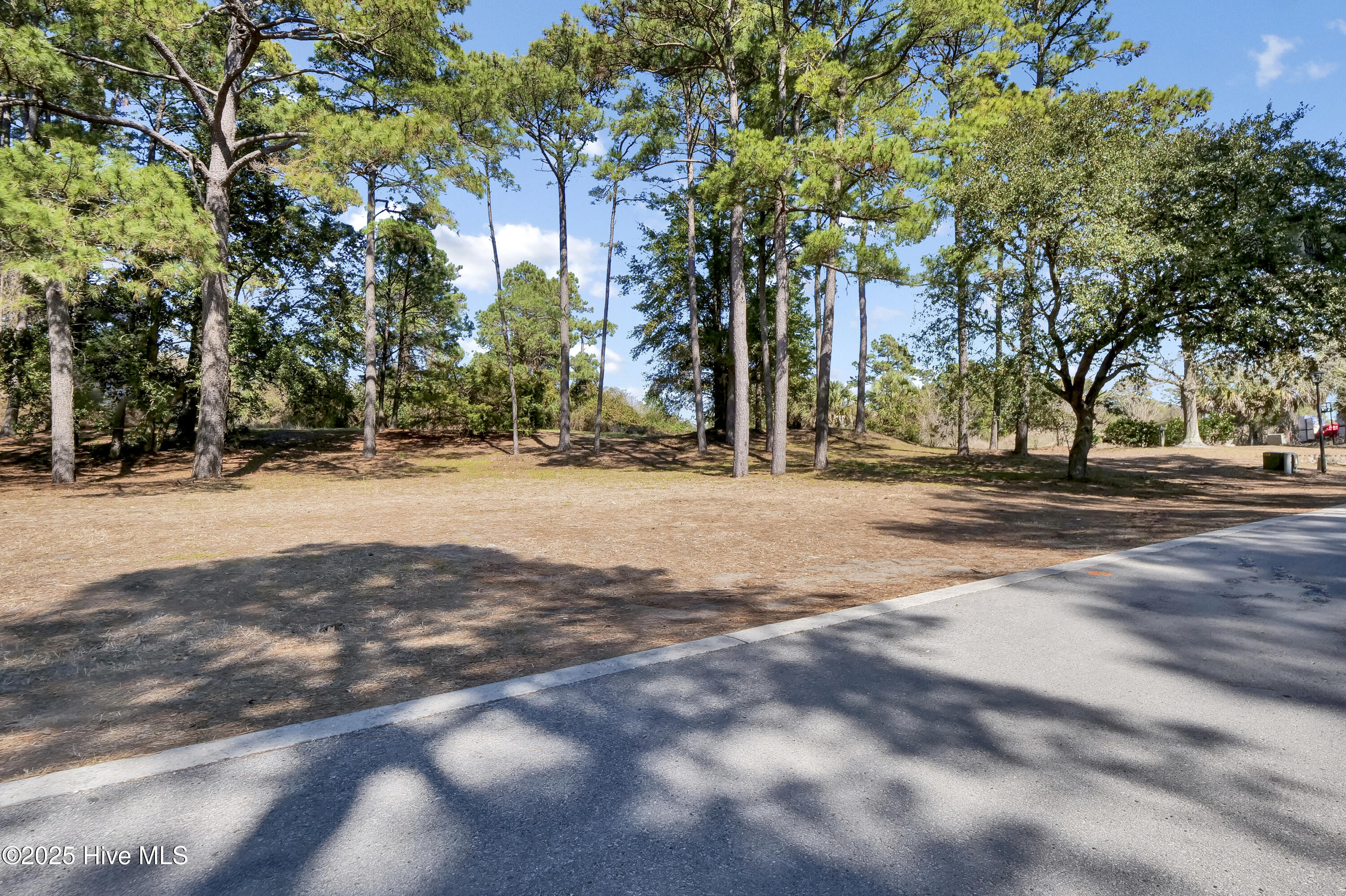 4008 Barnes Bluff Drive Property Photo 26