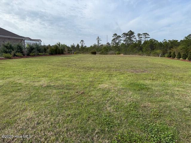 3231 Oceanic Bay Drive Property Photo 16