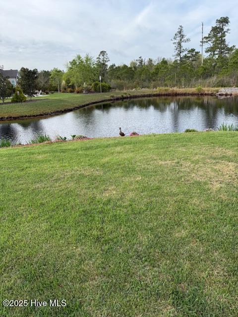 3231 Oceanic Bay Drive Property Photo 18