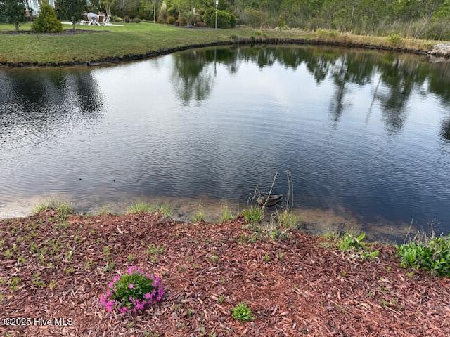 3231 Oceanic Bay Drive Property Photo 19