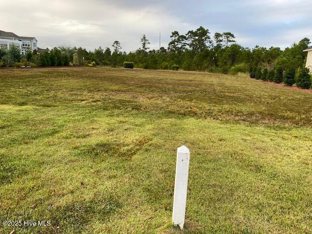 3231 Oceanic Bay Drive Property Photo 26
