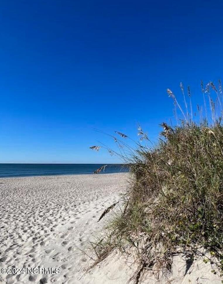 3231 Oceanic Bay Drive Property Photo 35