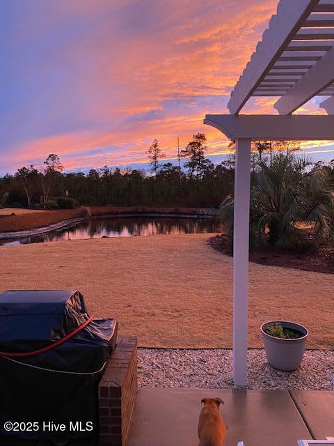 3231 Oceanic Bay Drive Property Photo 52