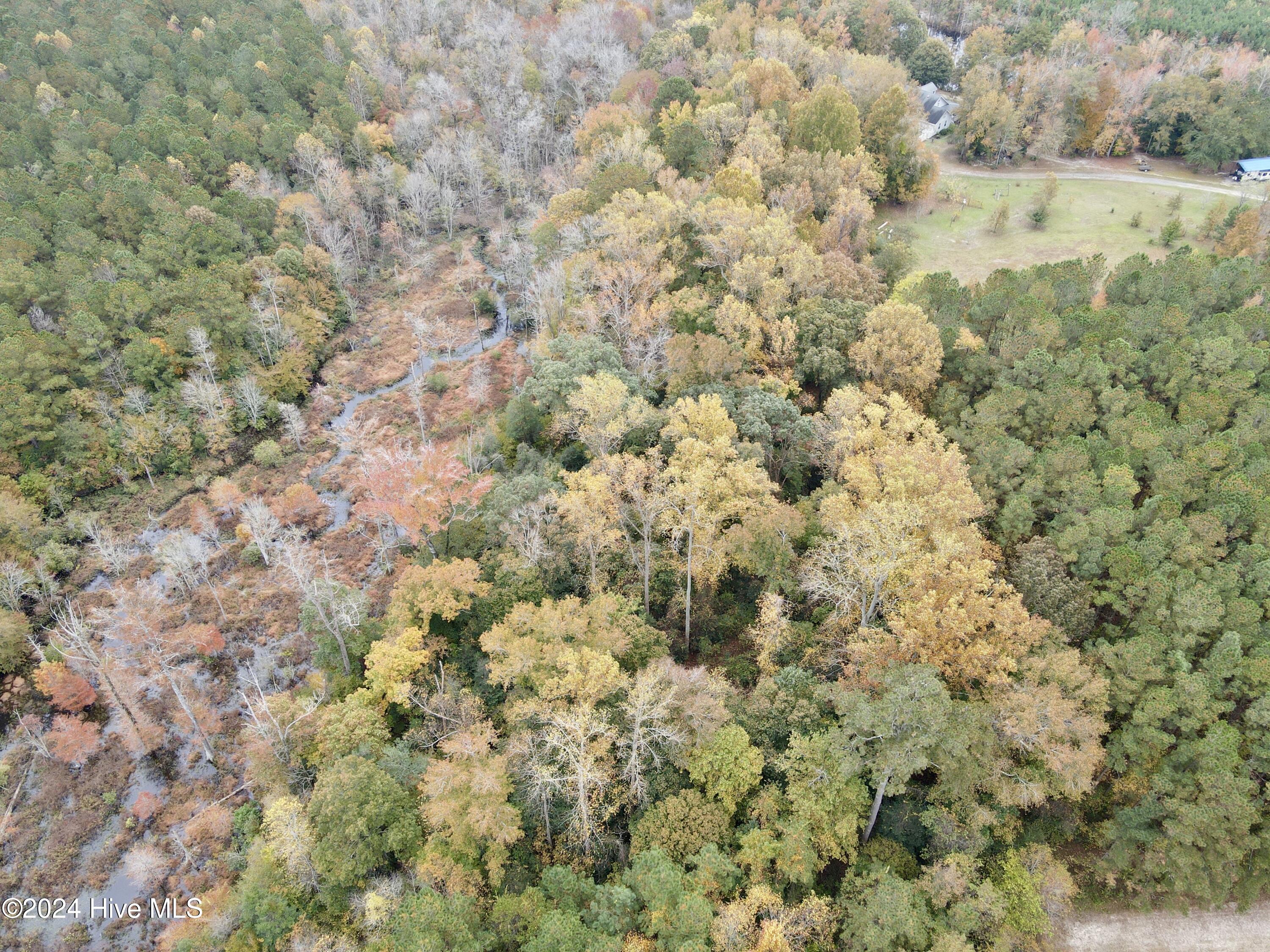 0 Wild Cat Road Property Photo