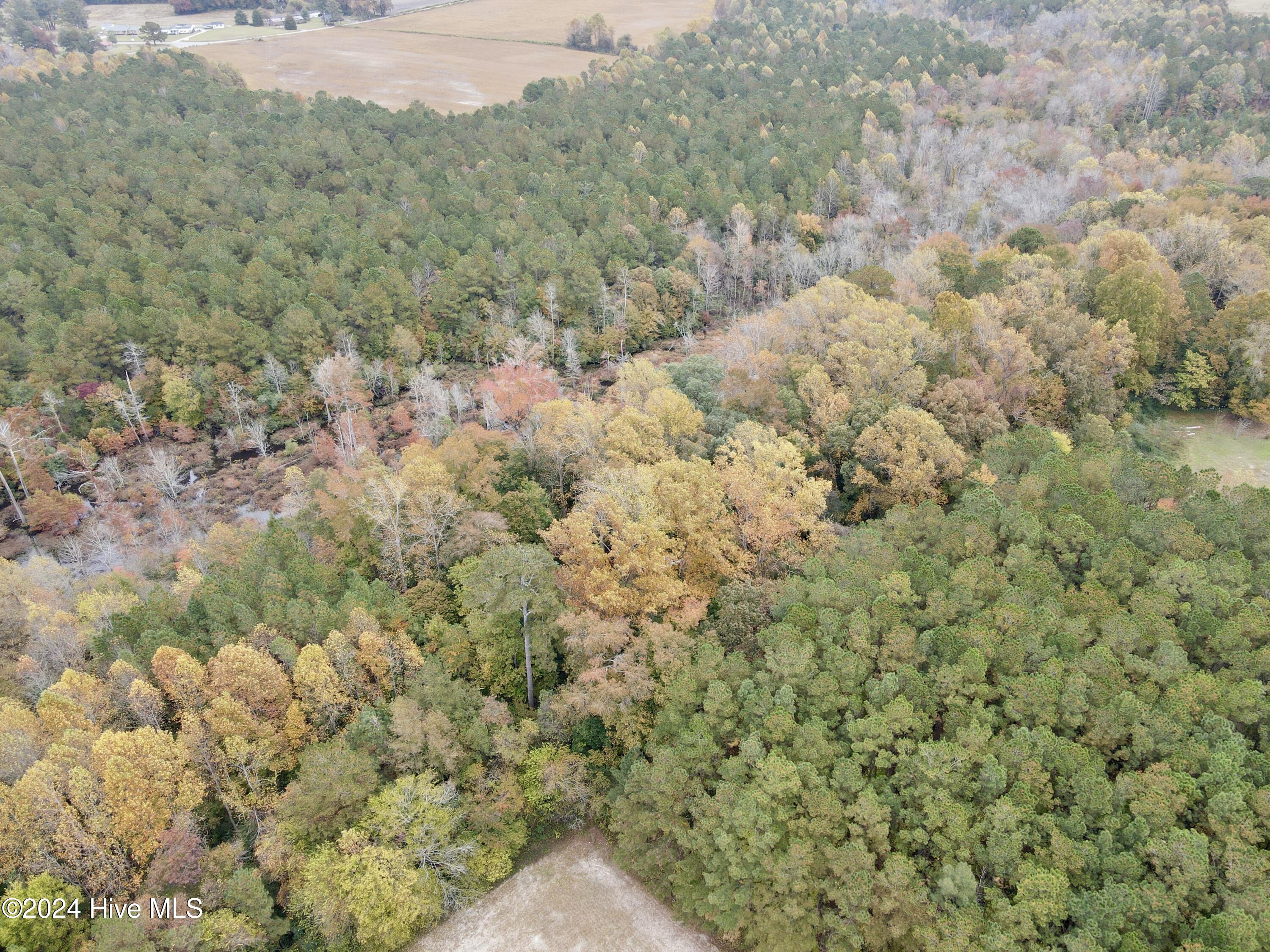 0 Wild Cat Road Property Photo 2