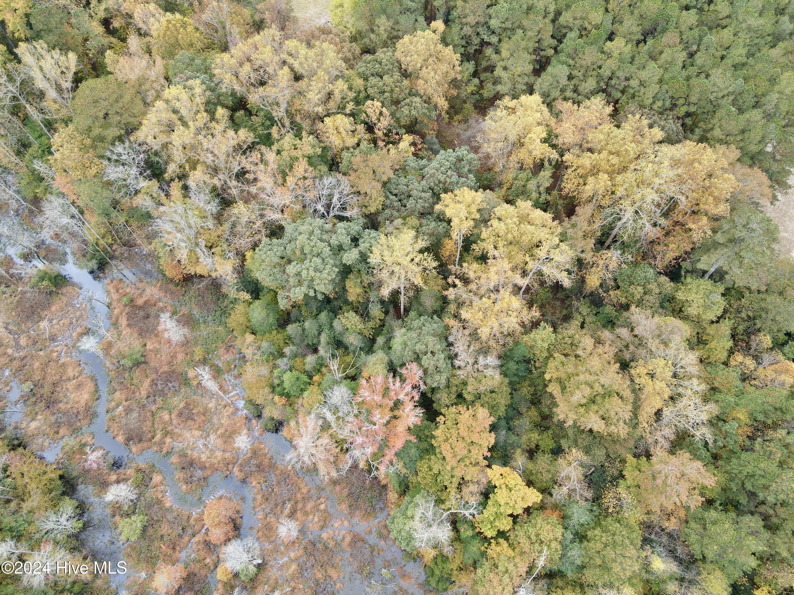 0 Wild Cat Road Property Photo 3