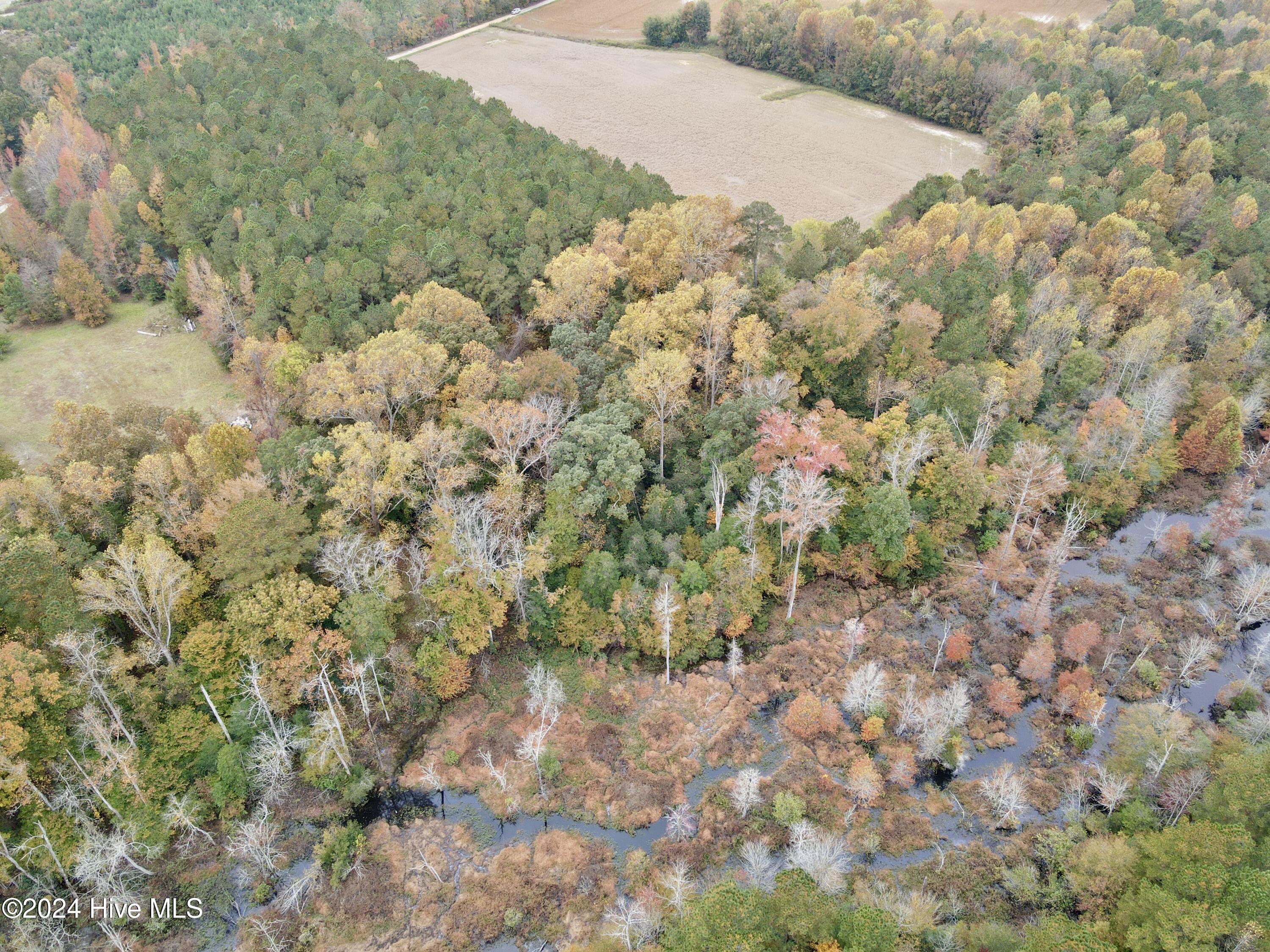 0 Wild Cat Road Property Photo 4