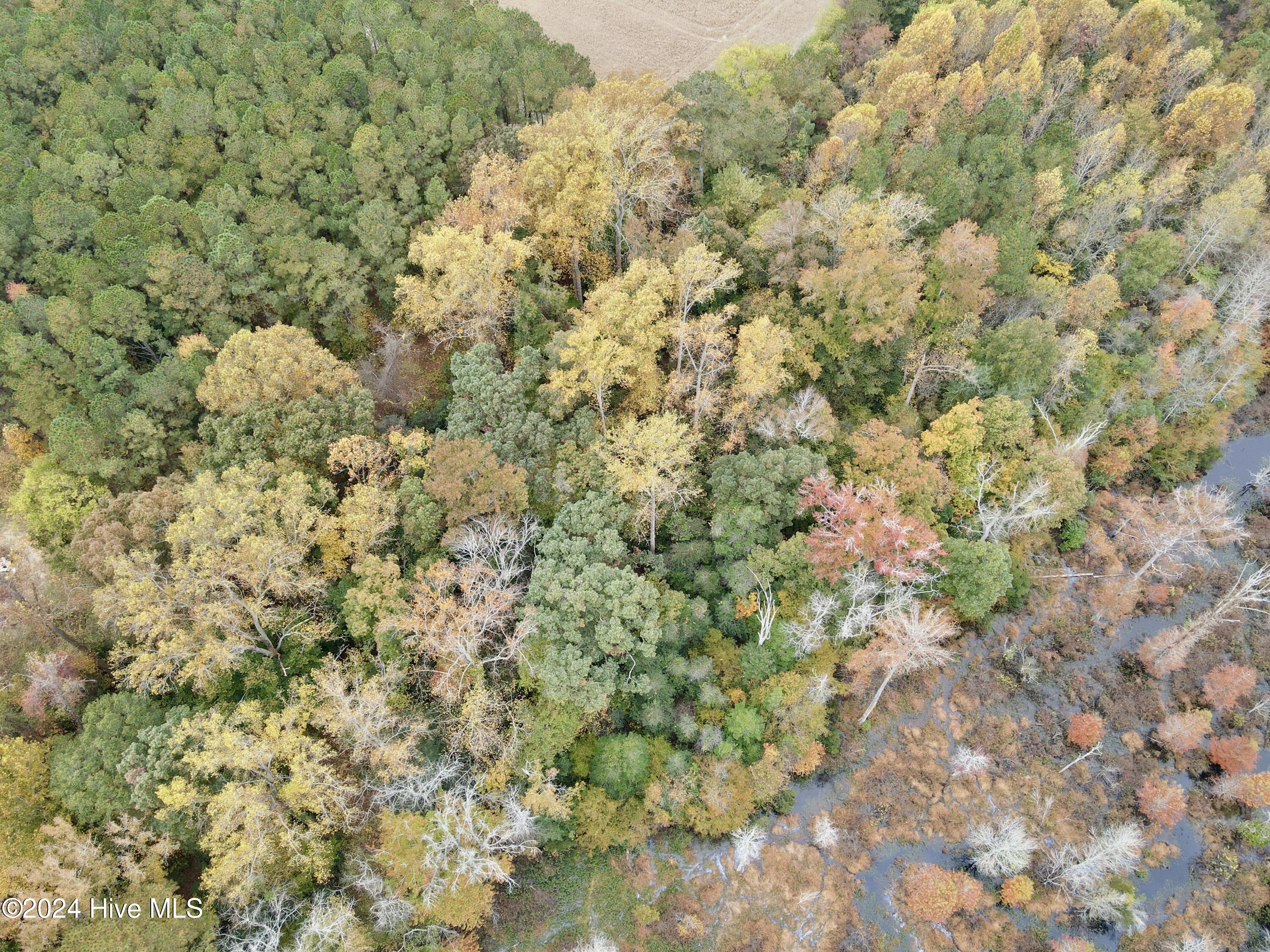0 Wild Cat Road Property Photo 6