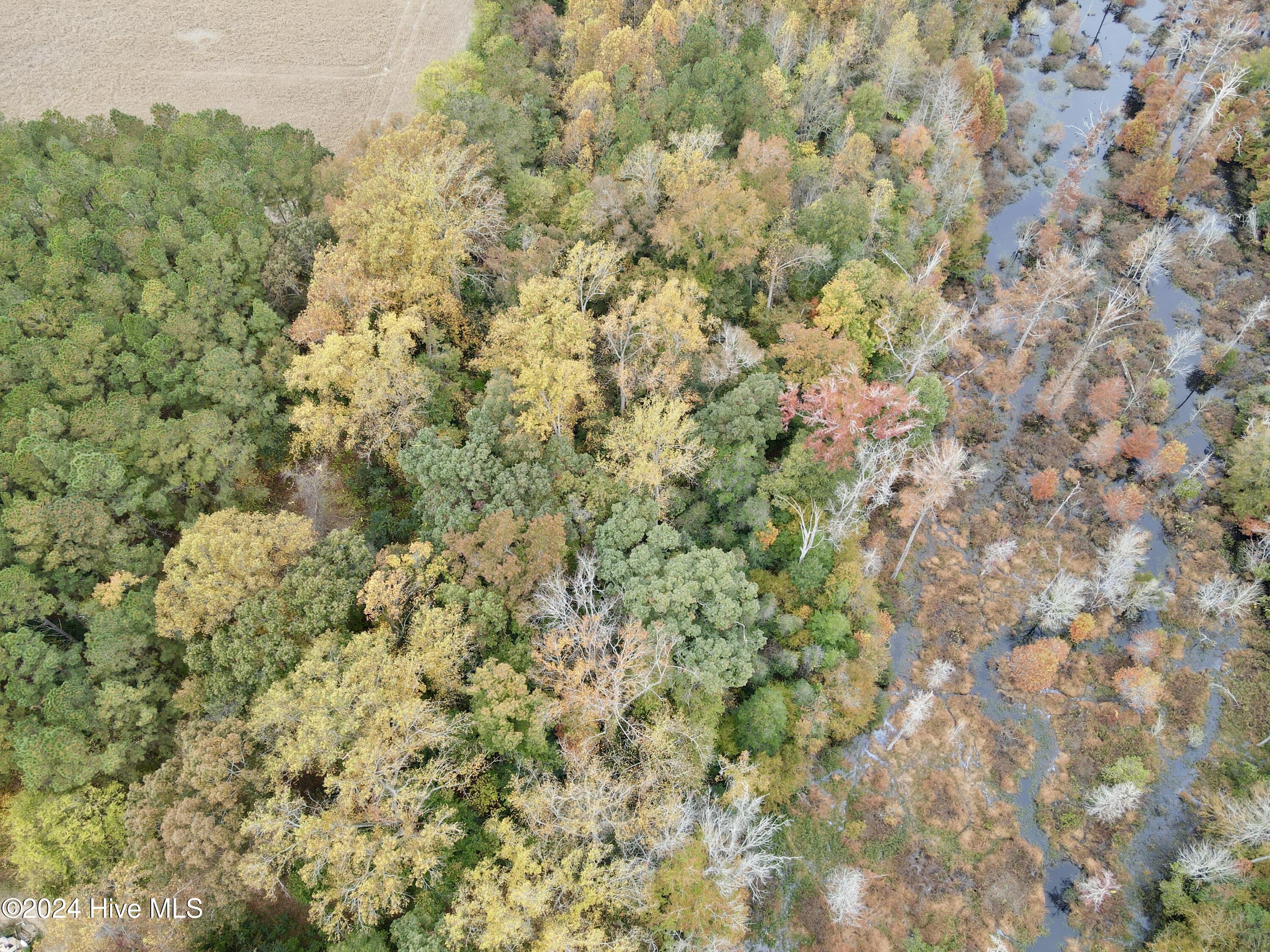 0 Wild Cat Road Property Photo 7