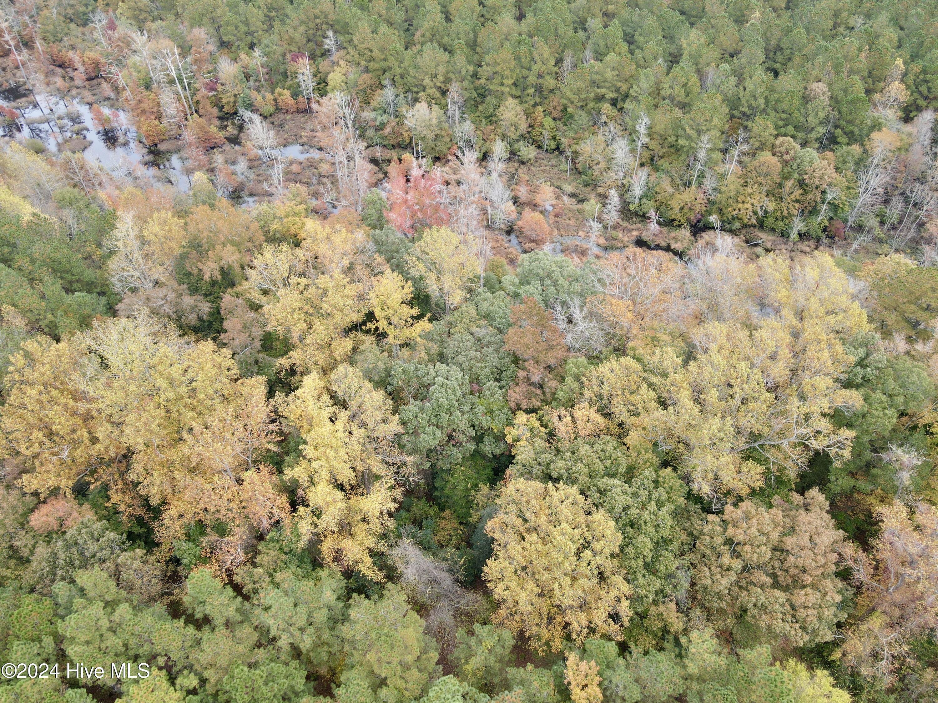 0 Wild Cat Road Property Photo 8