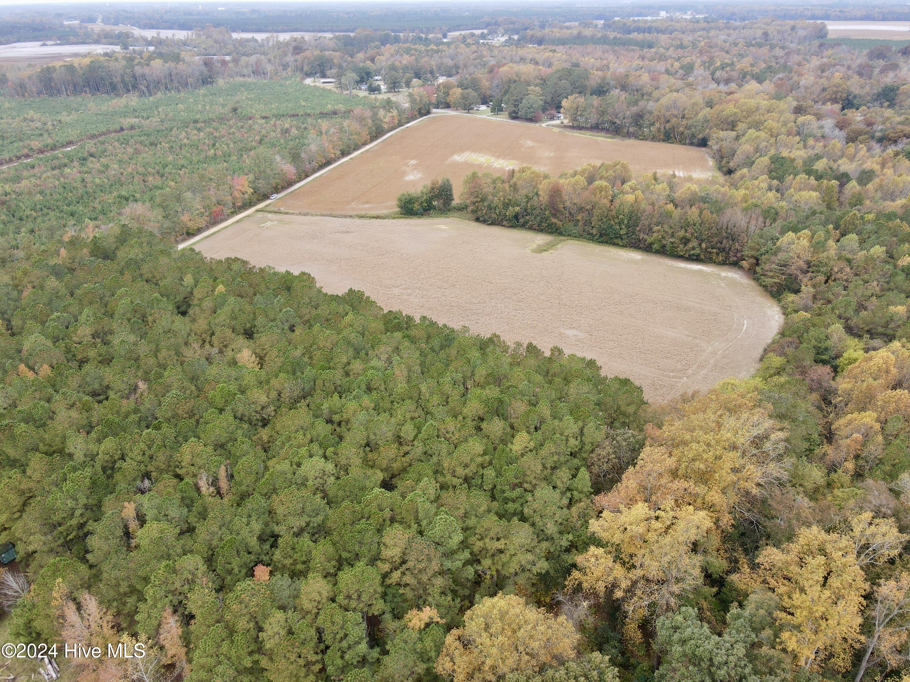 0 Wild Cat Road Property Photo 9