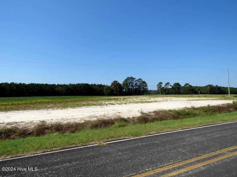 Tbd Cowpen Swamp Road Property Photo 3