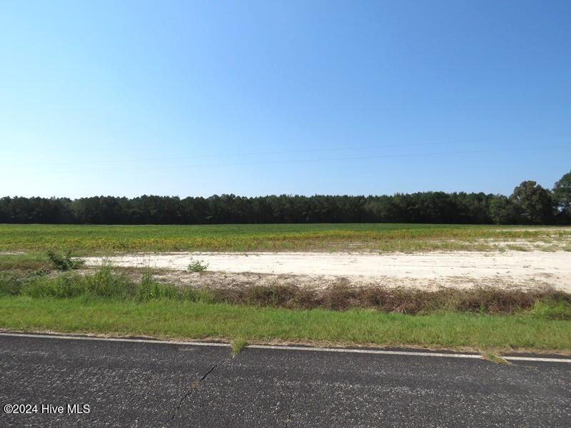 Tbd Cowpen Swamp Road Property Photo 4