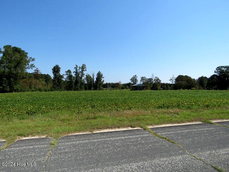 Tbd Cowpen Swamp Road Property Photo 3