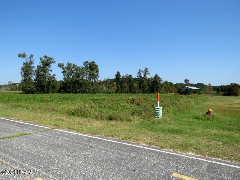 Tbd Cowpen Swamp Road Property Photo 4