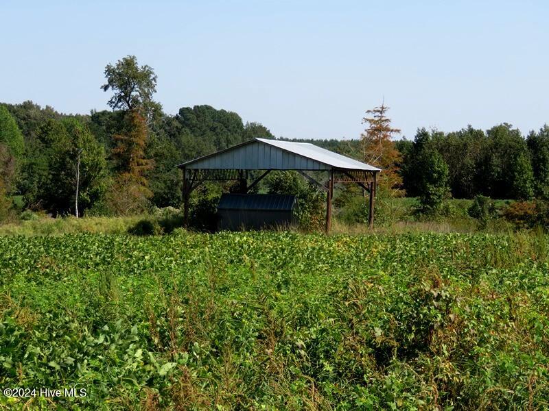 Tbd Cowpen Swamp Road Property Photo 5