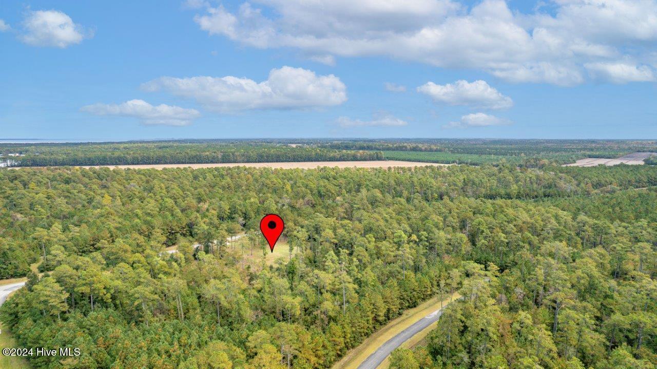 517 Arant Farm Road Property Photo 8