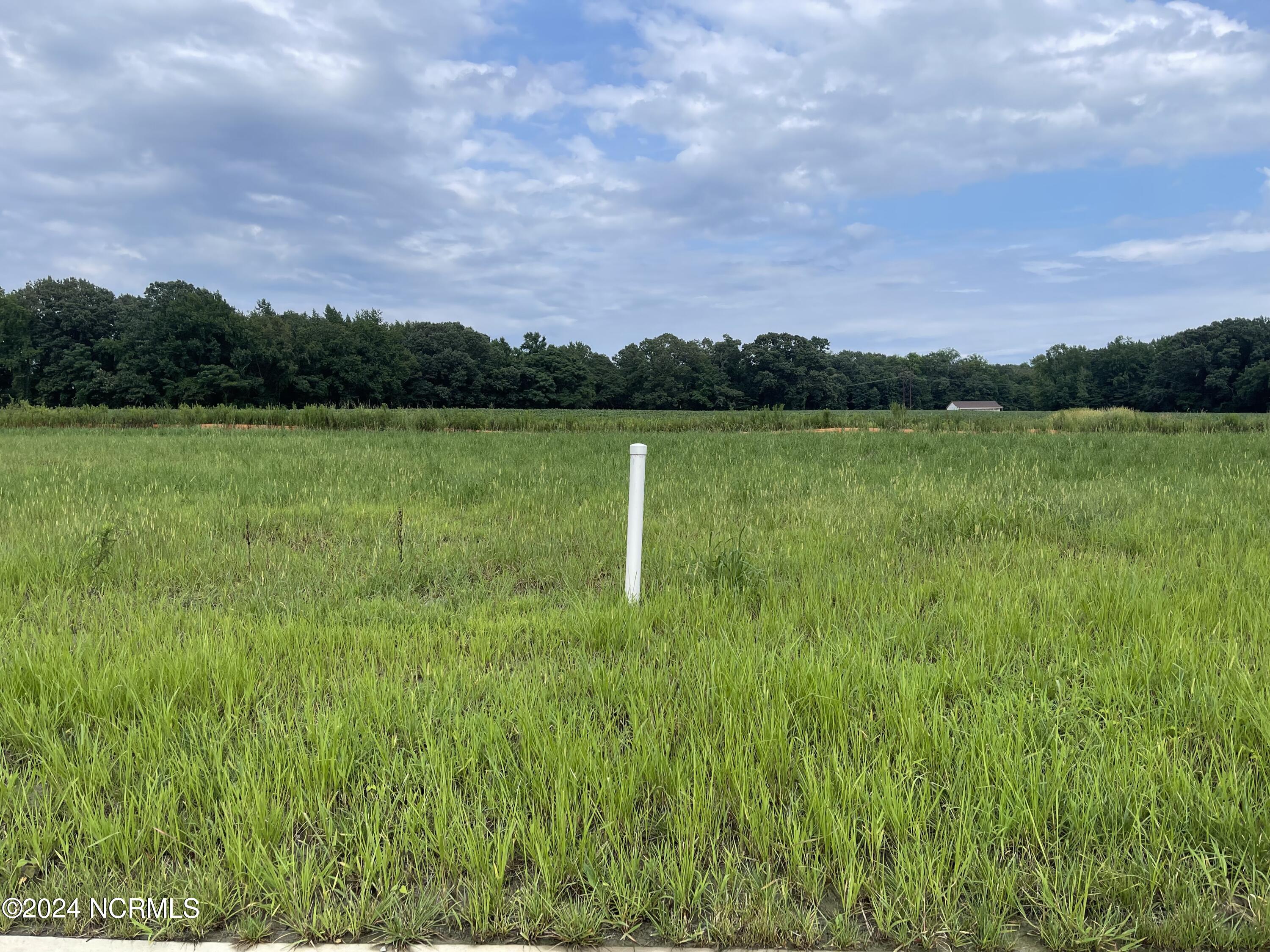 419 Lemonade Lane Property Photo 3