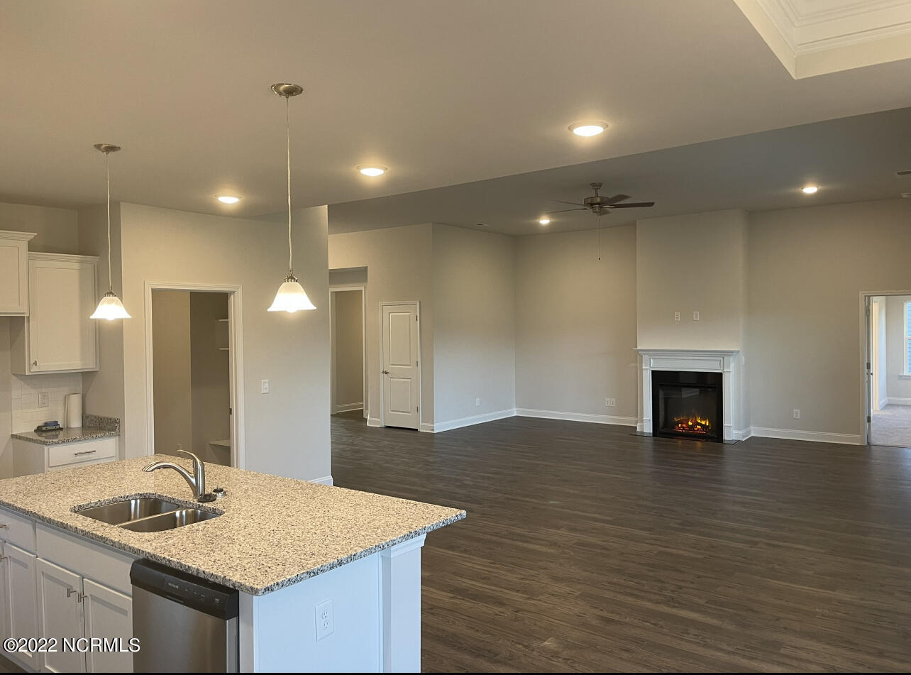 419 Lemonade Lane Property Photo 10