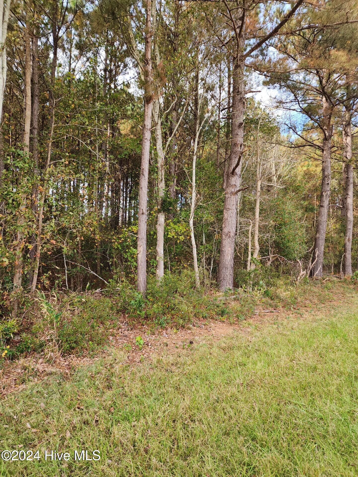 23.57 Ac Piney Woods Road Property Photo 3