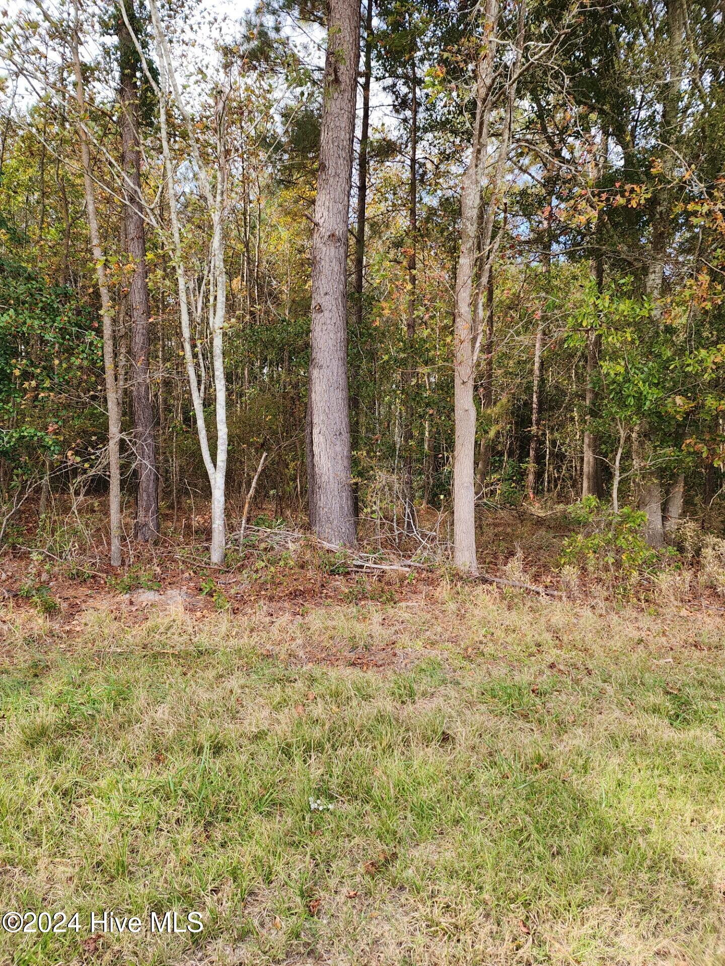 23.57 Ac Piney Woods Road Property Photo 5