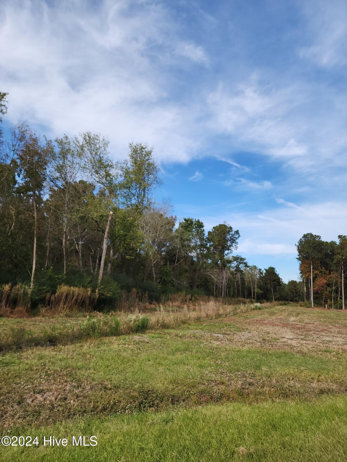 23.57 Ac Piney Woods Road Property Photo 6