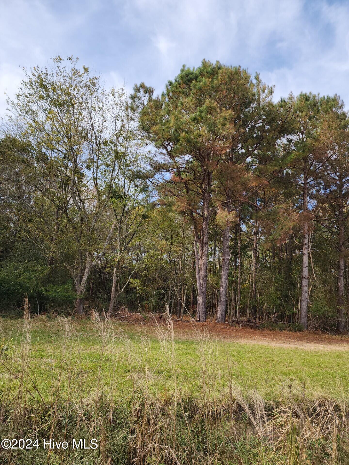 23.57 Ac Piney Woods Road Property Photo 7