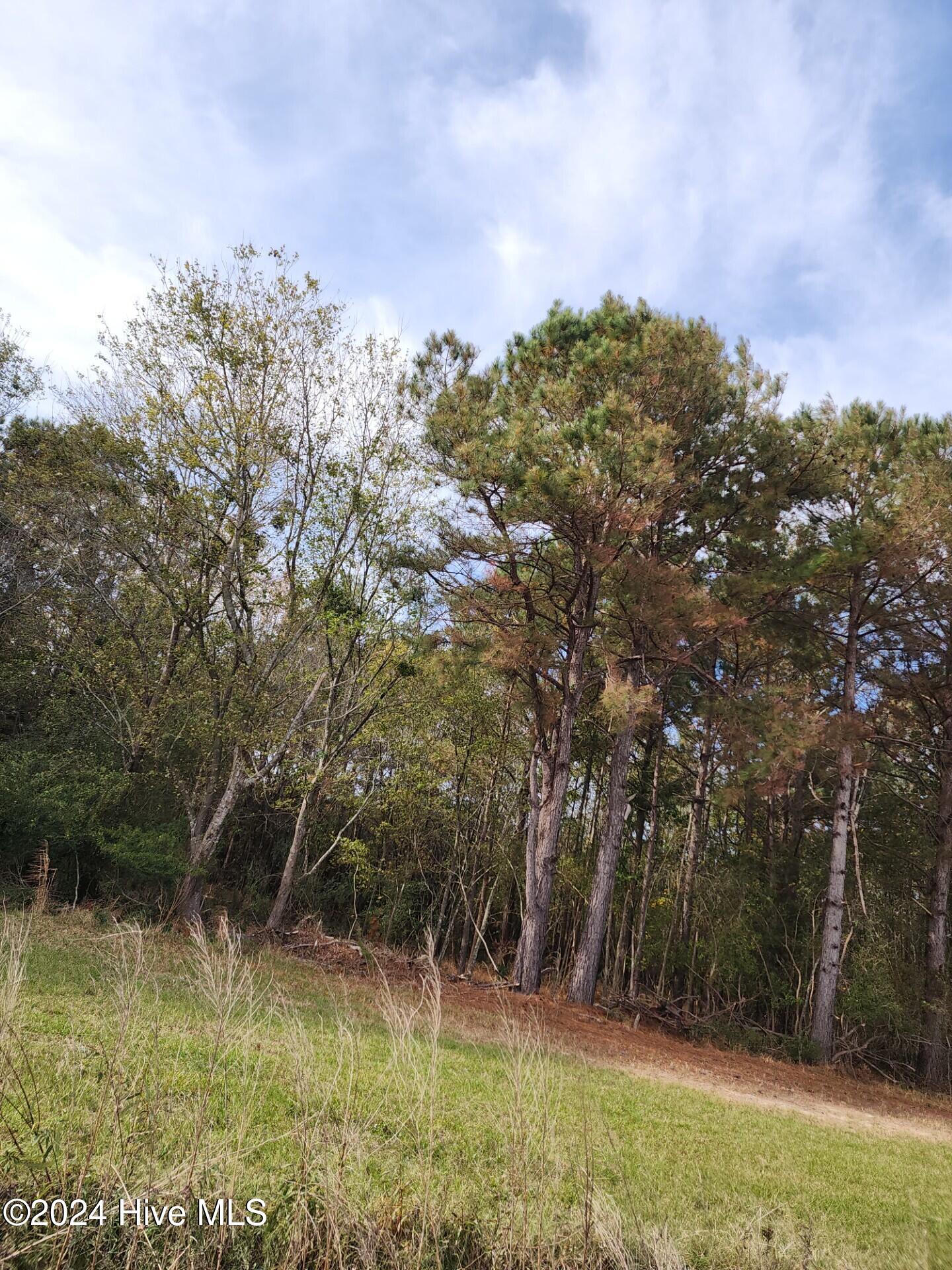 23.57 Ac Piney Woods Road Property Photo 8