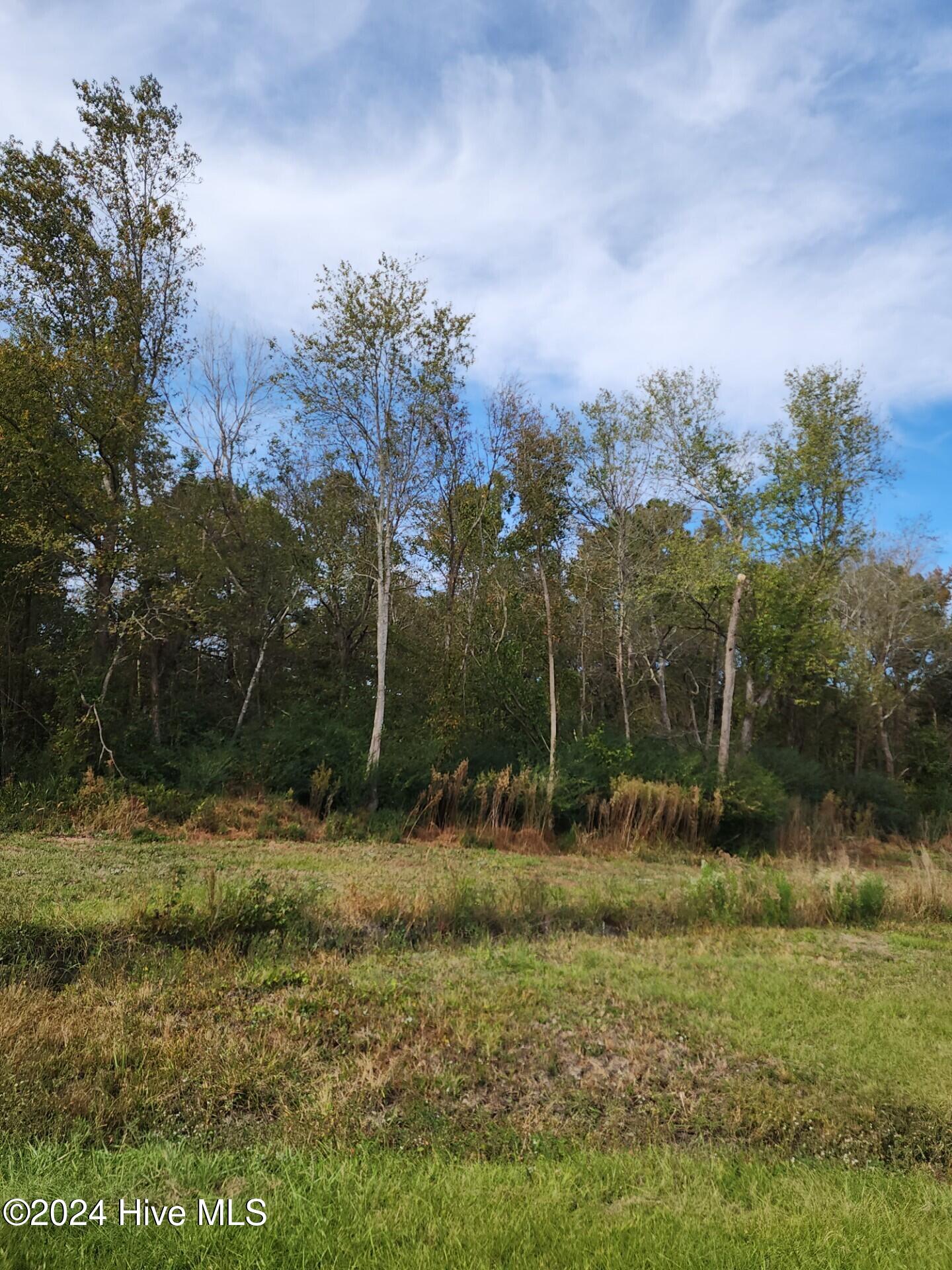 23.57 Ac Piney Woods Road Property Photo 9
