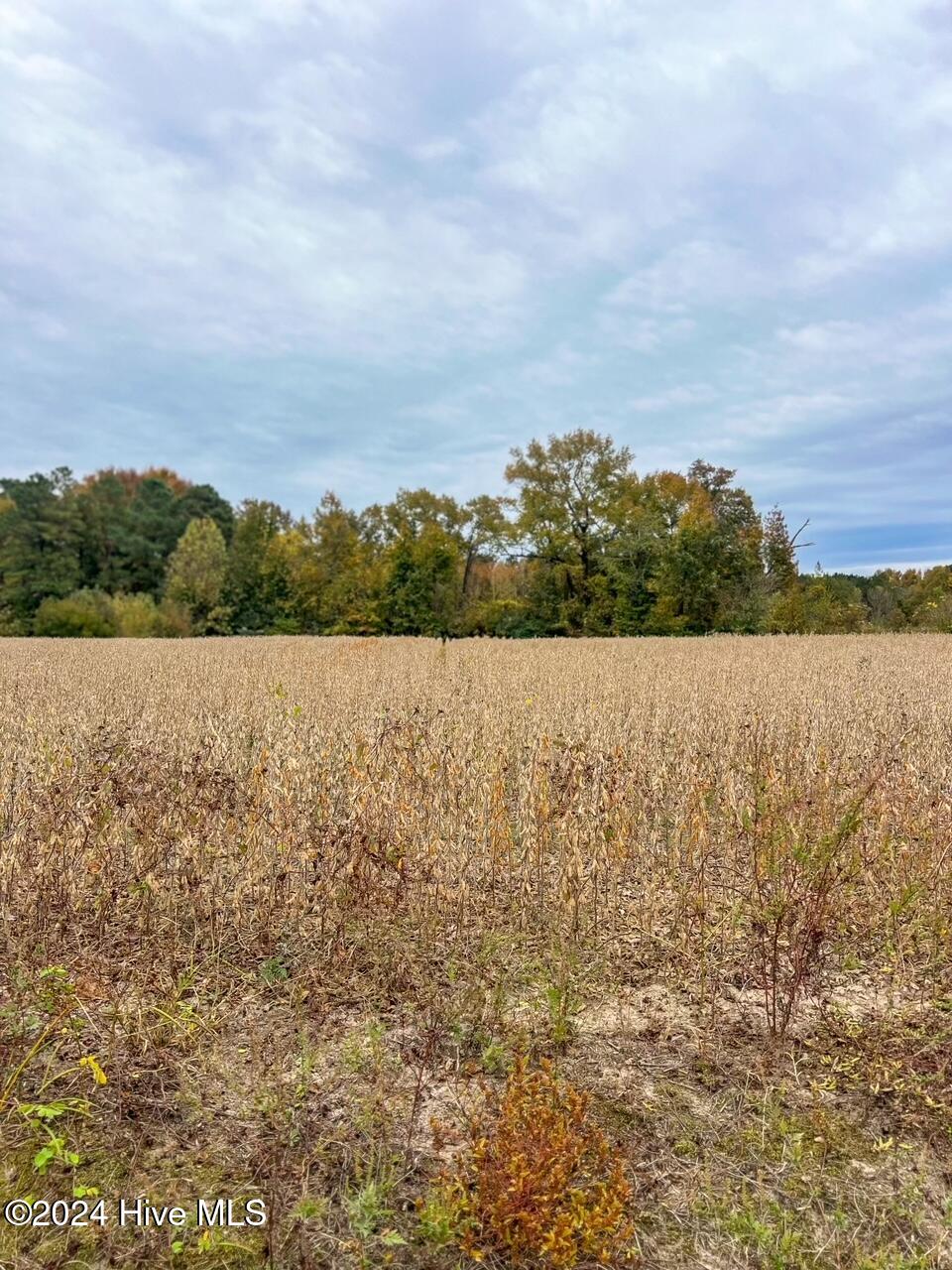 112 Yellow Hammer Road Property Photo 2