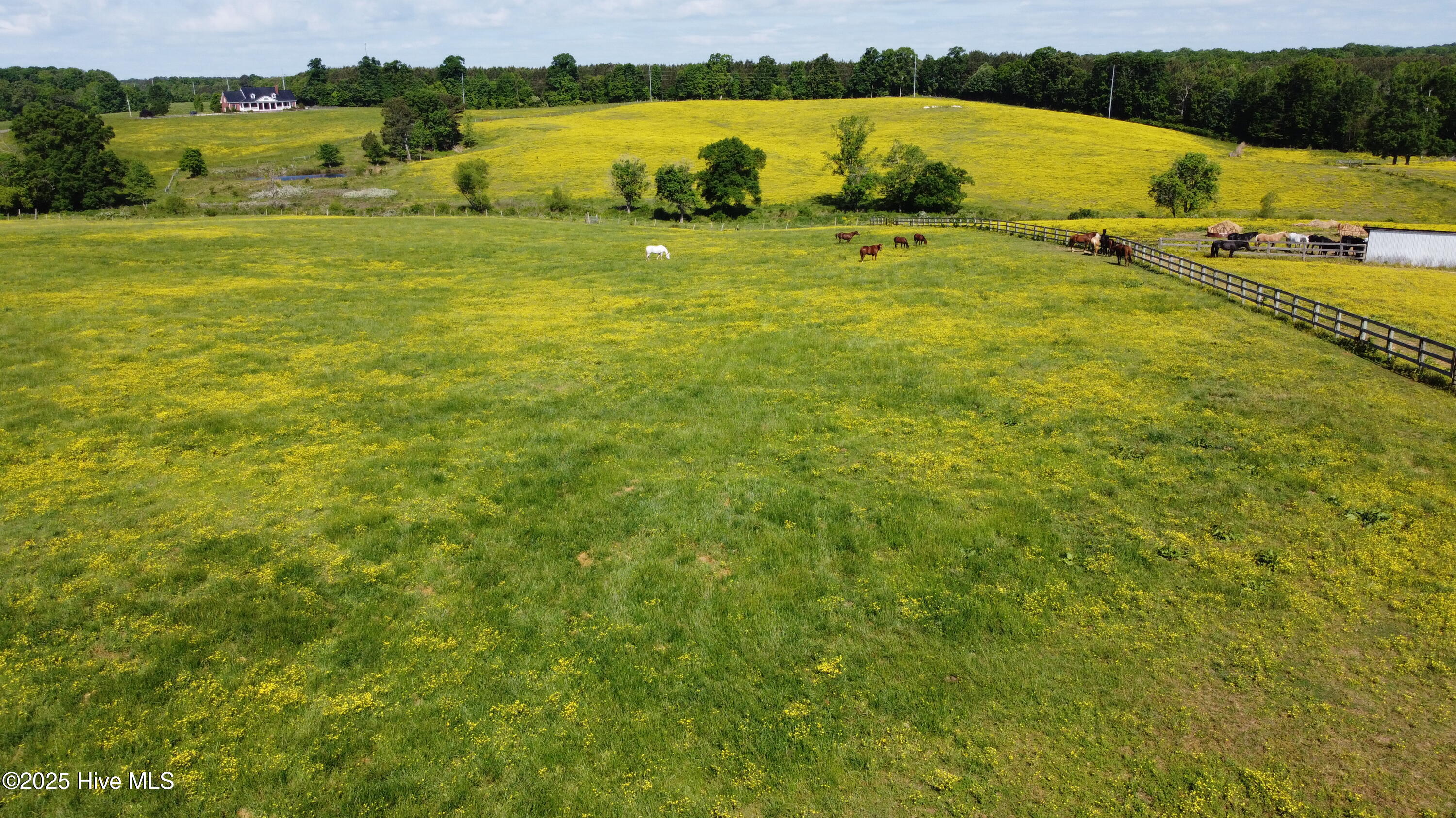 455 Hogan Farm Road Property Photo 20
