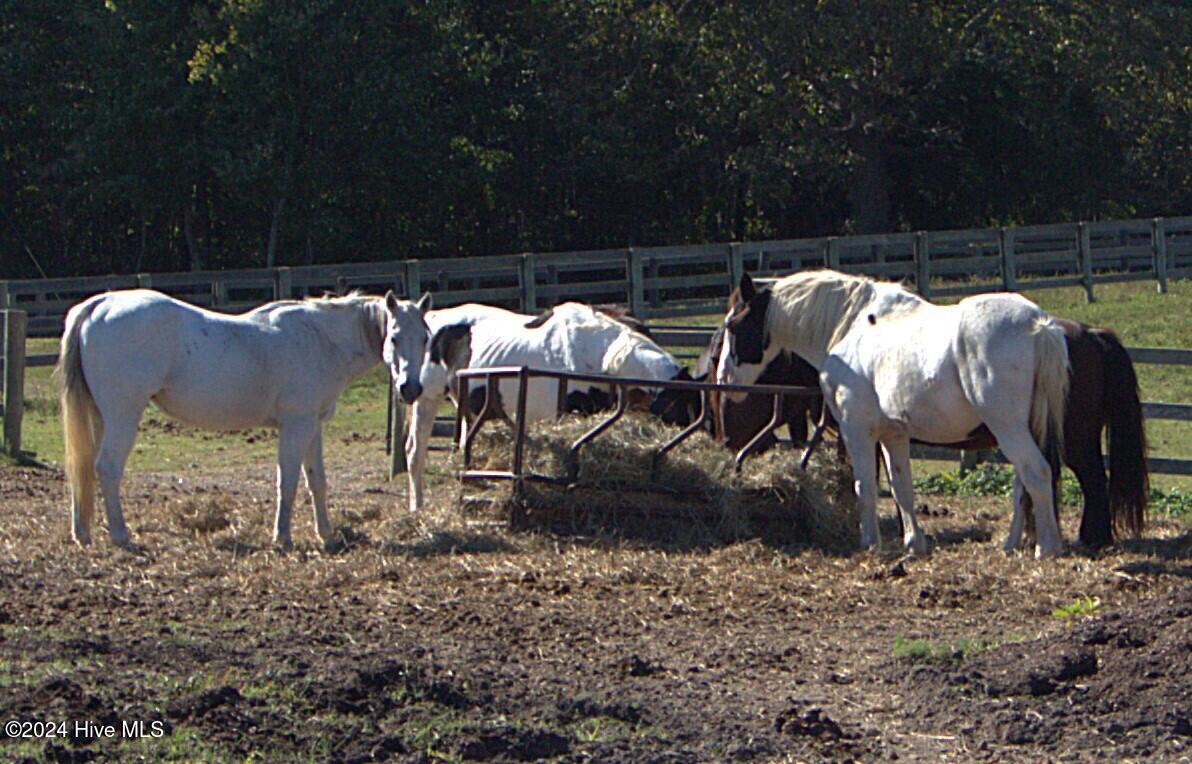 455 Hogan Farm Road Property Photo 54