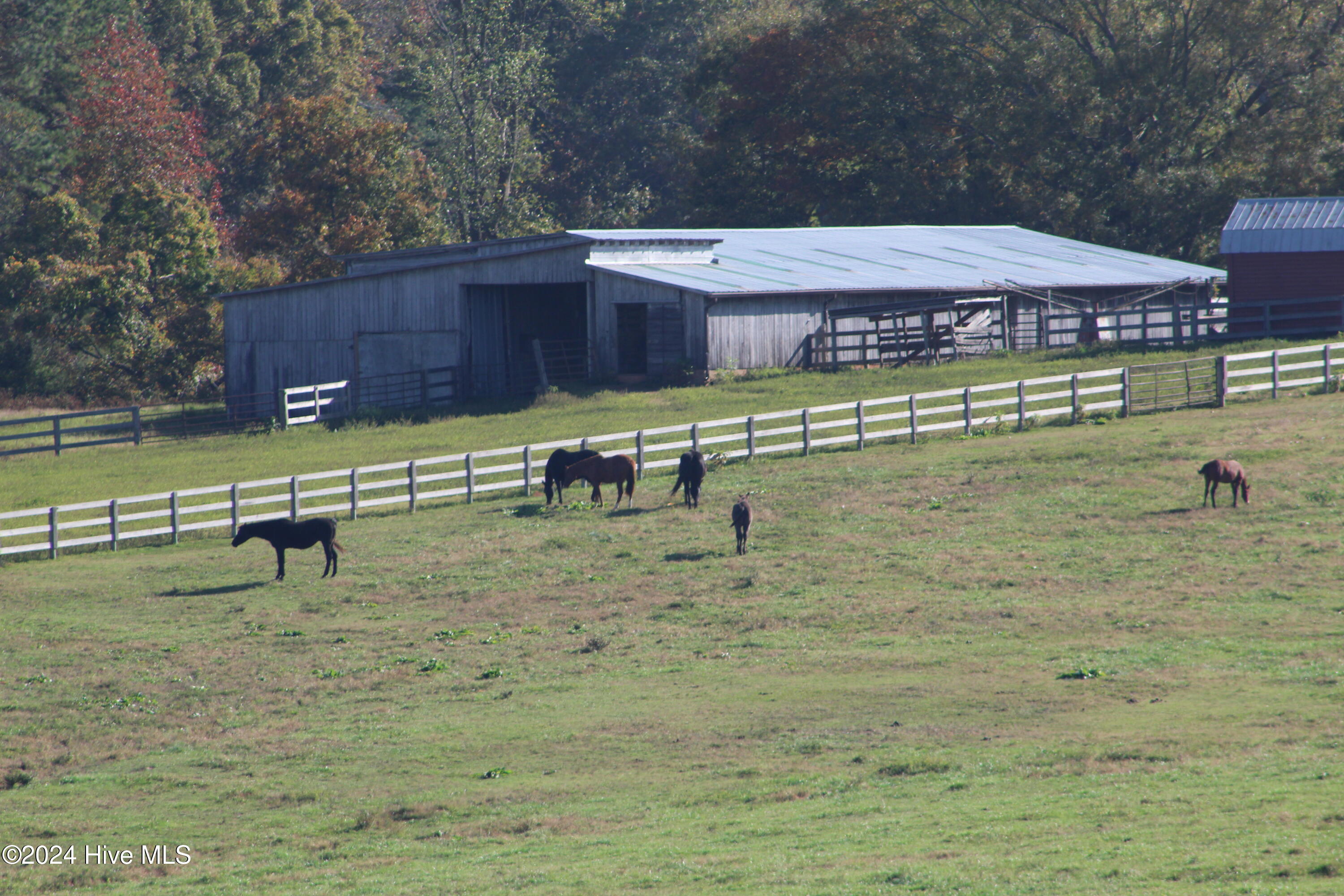 455 Hogan Farm Road Property Photo 57