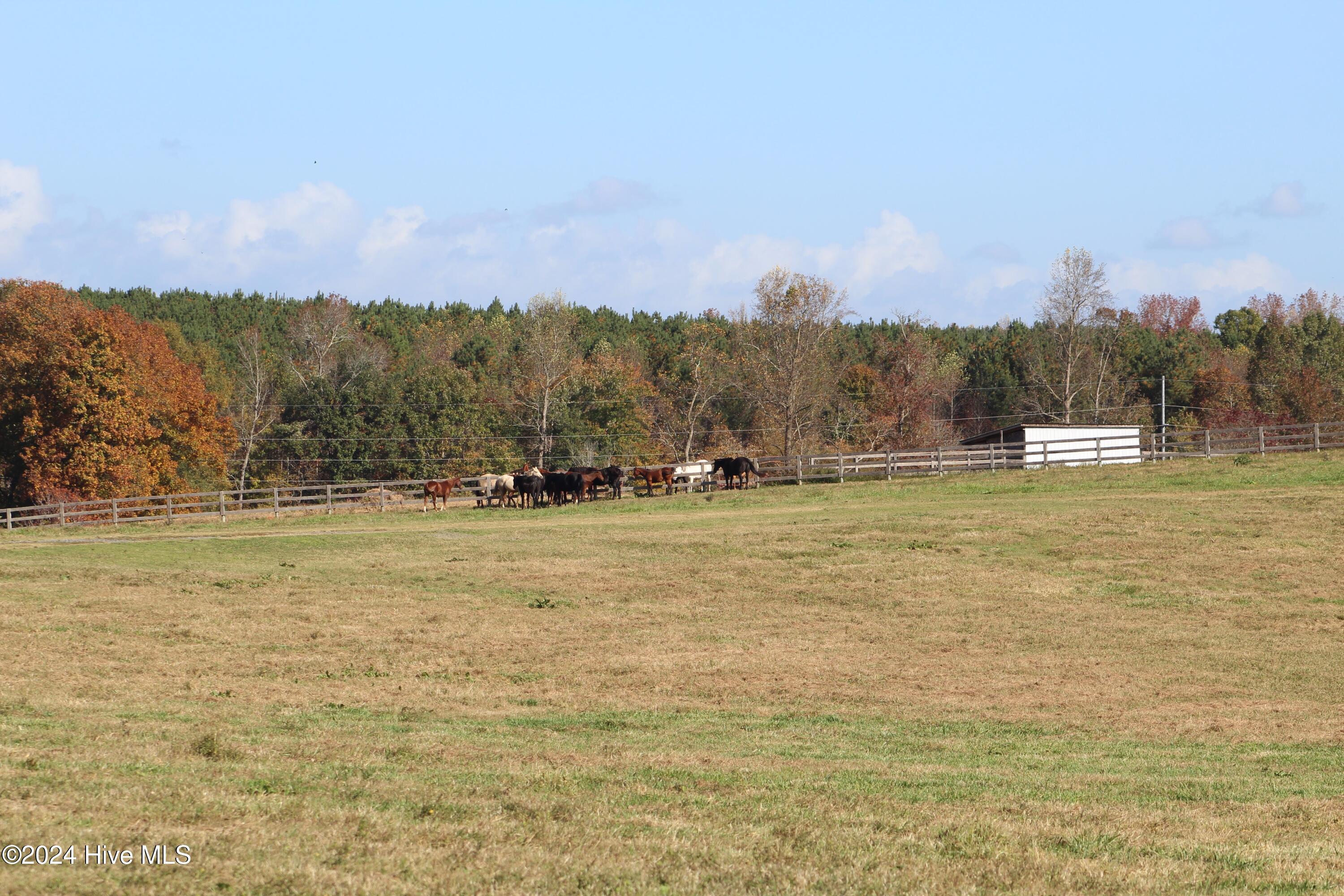 455 Hogan Farm Road Property Photo 76