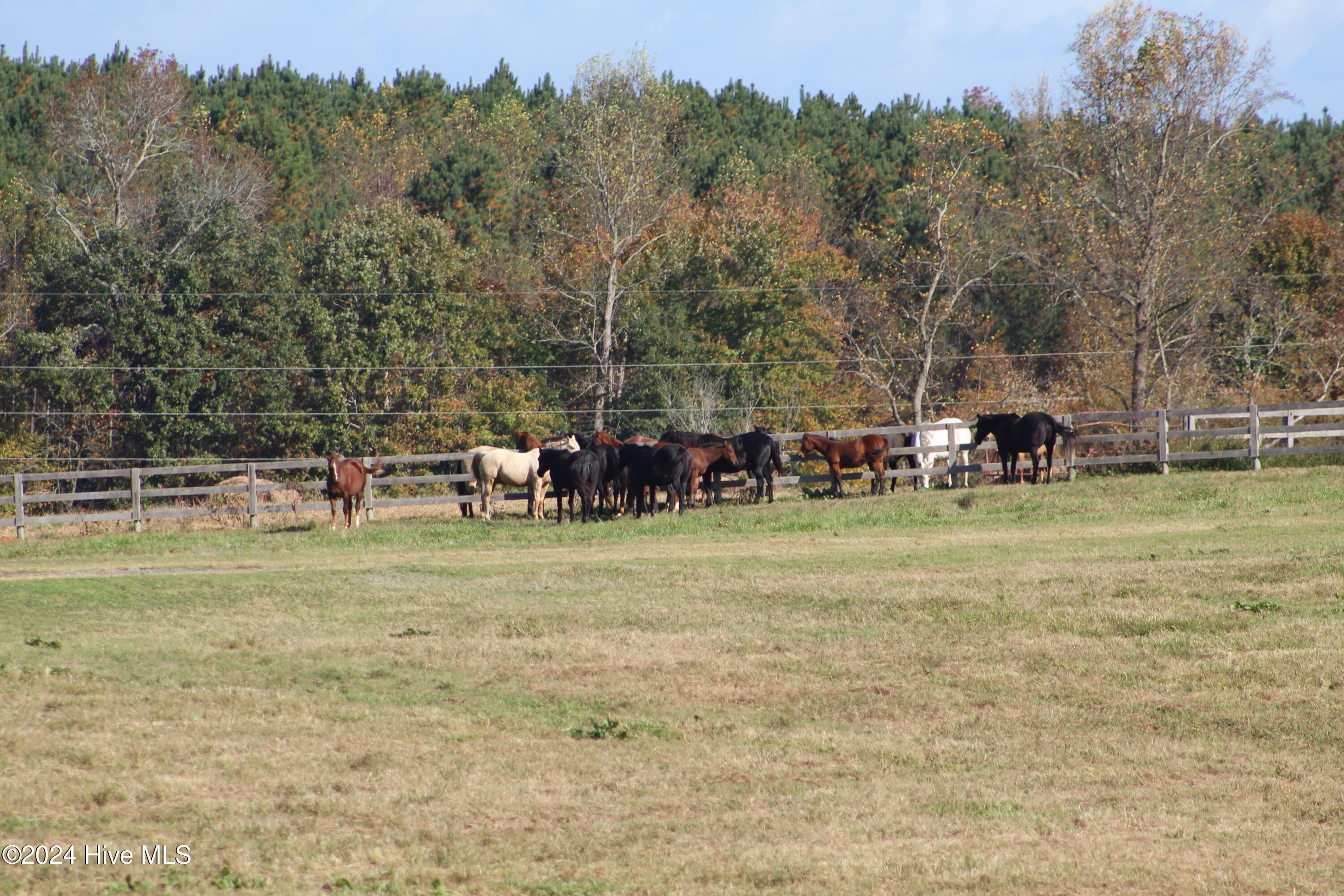 455 Hogan Farm Road Property Photo 106