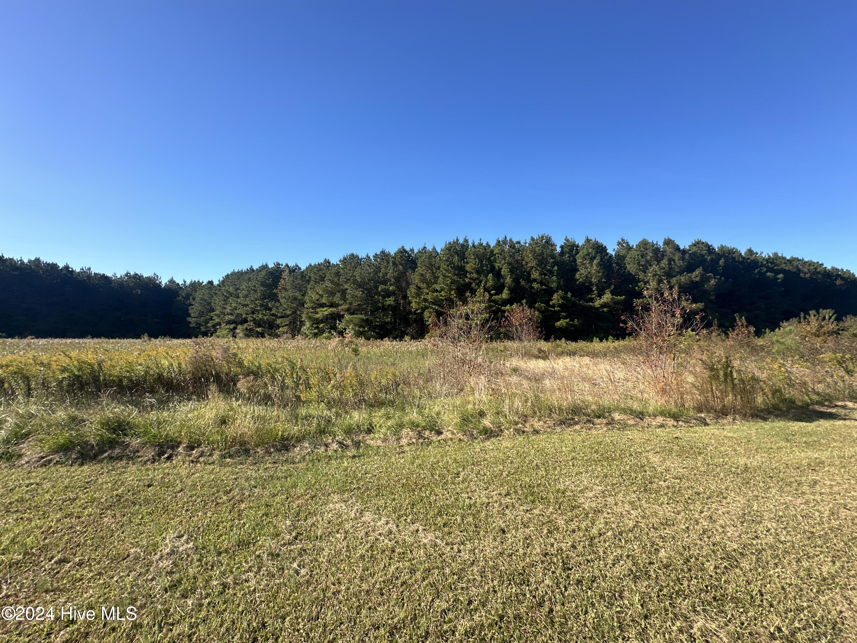 500 Weston Road Property Photo 20