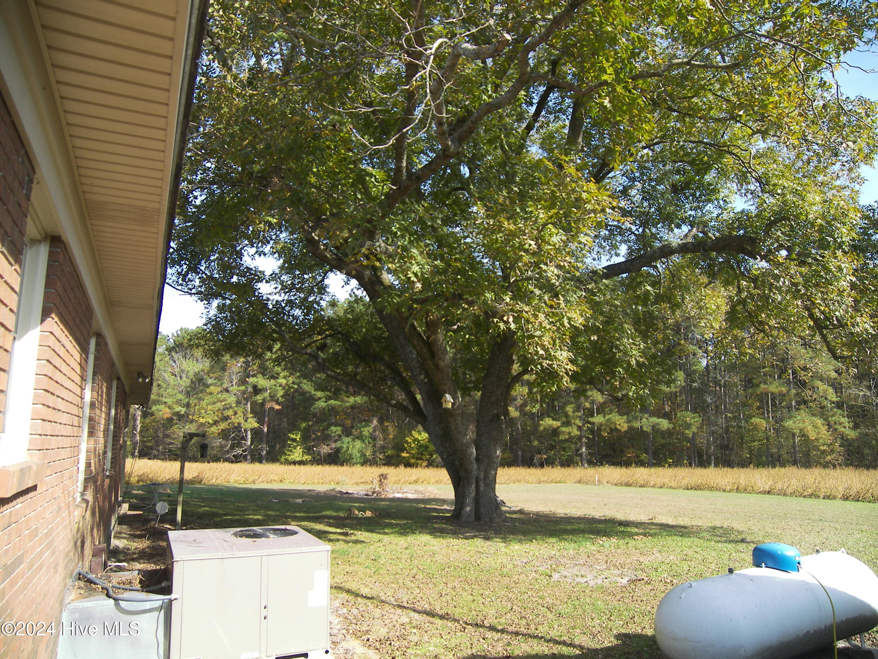 11515 W Old Spring Hope Road Property Photo 5