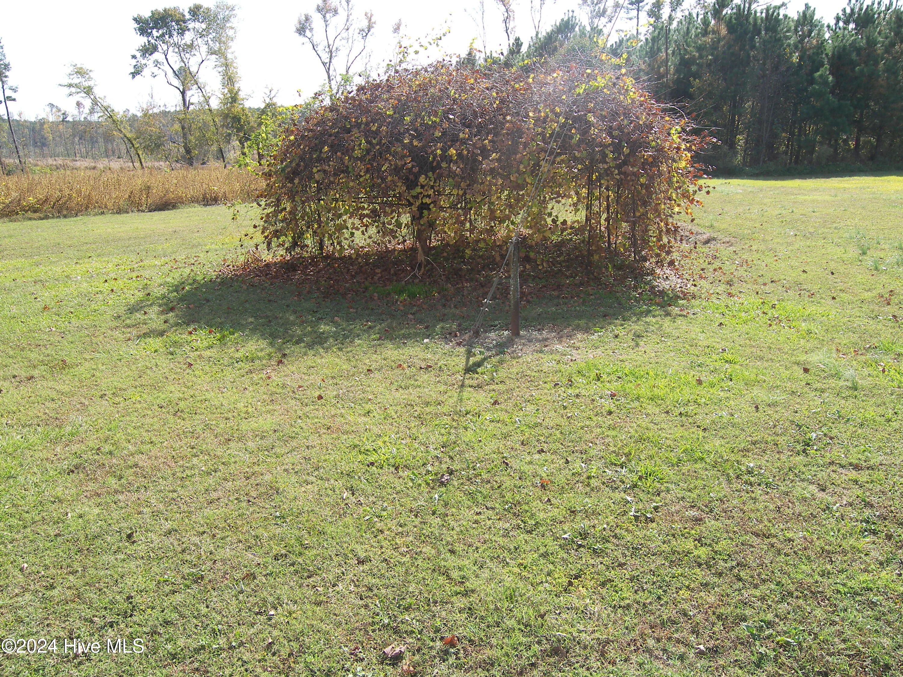 11515 W Old Spring Hope Road Property Photo 9