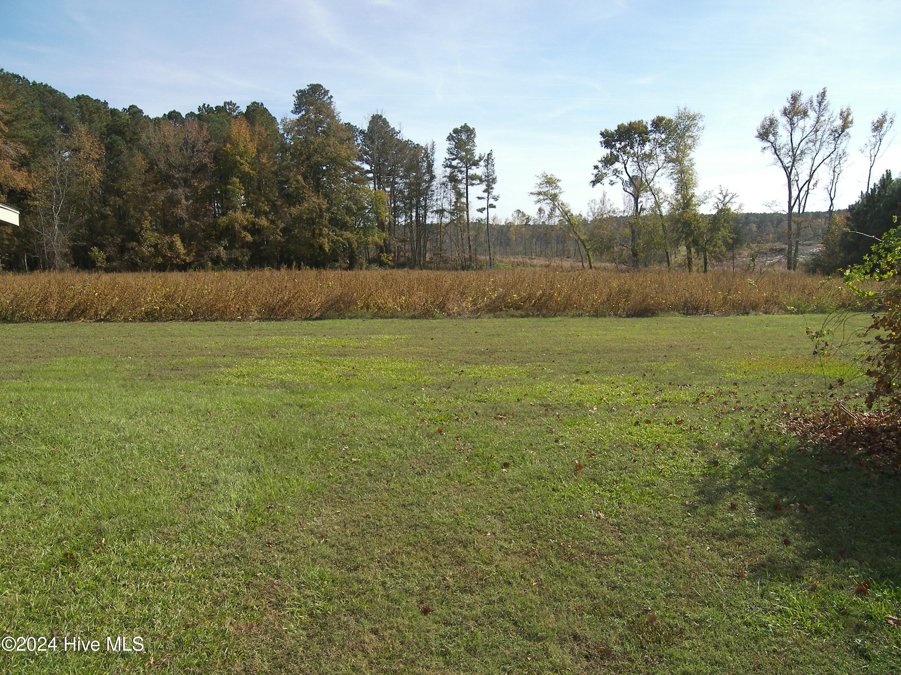 11515 W Old Spring Hope Road Property Photo 10