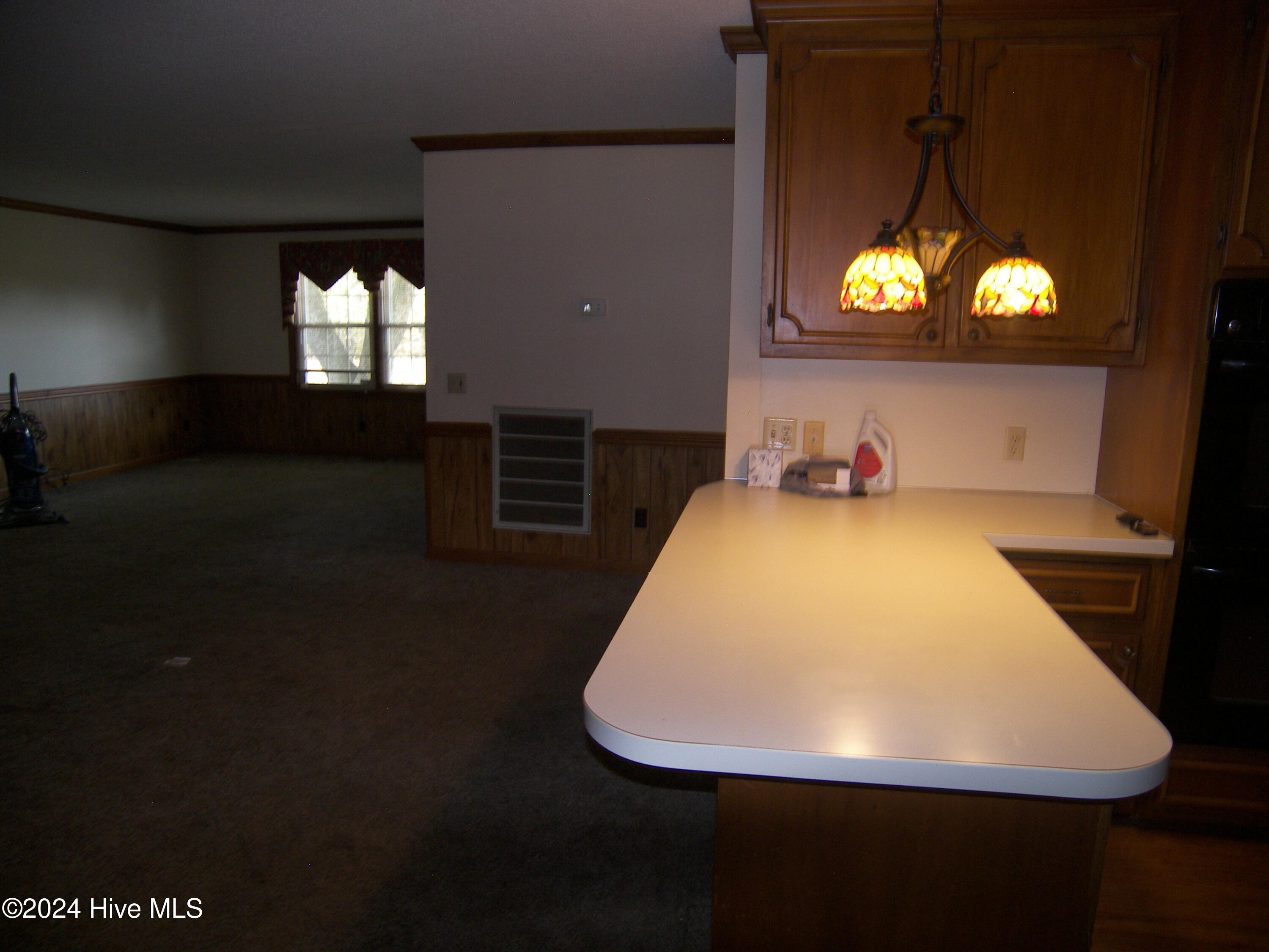 11515 W Old Spring Hope Road Property Photo 32