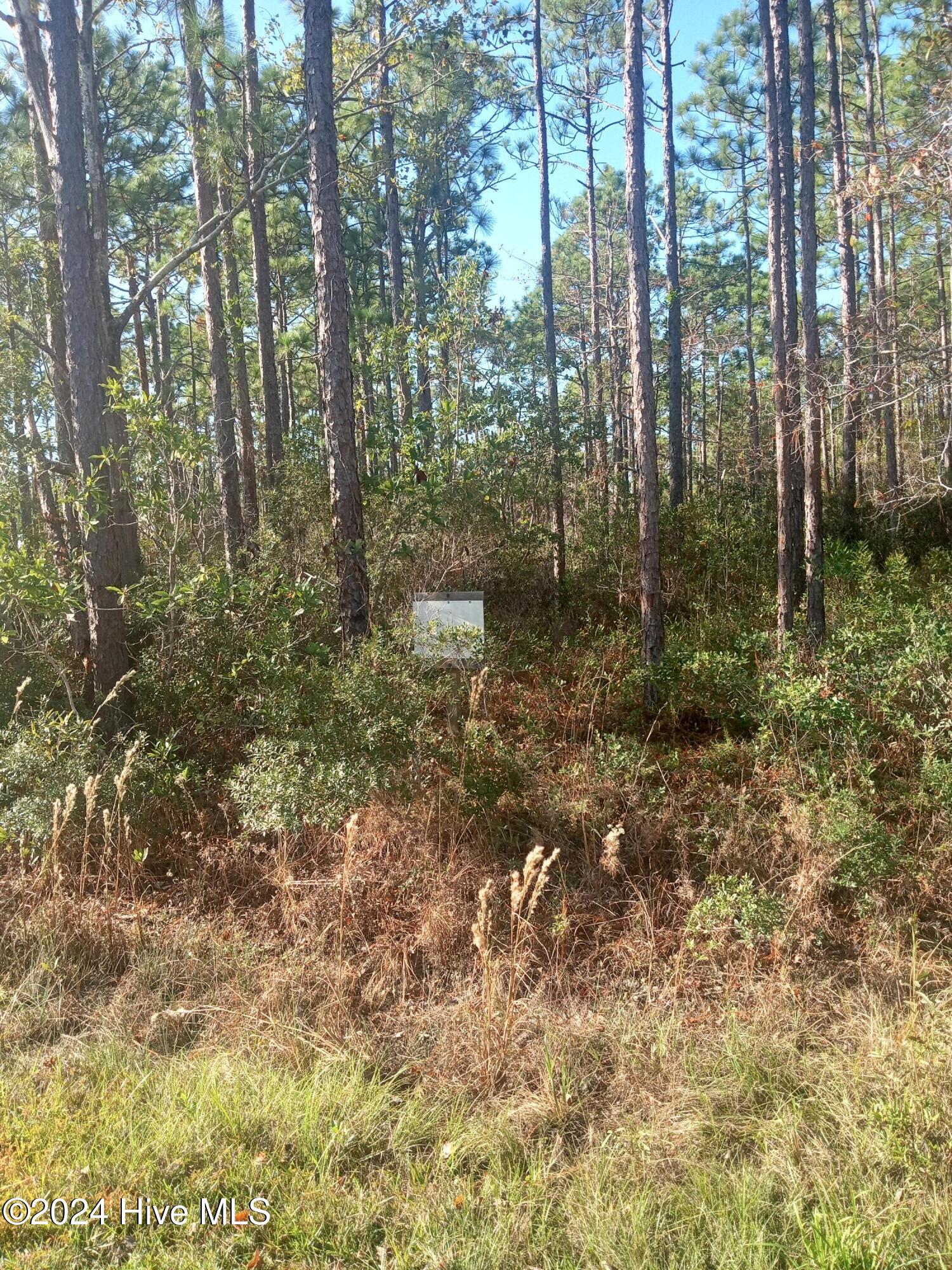 5 Monroe Road Property Photo 2