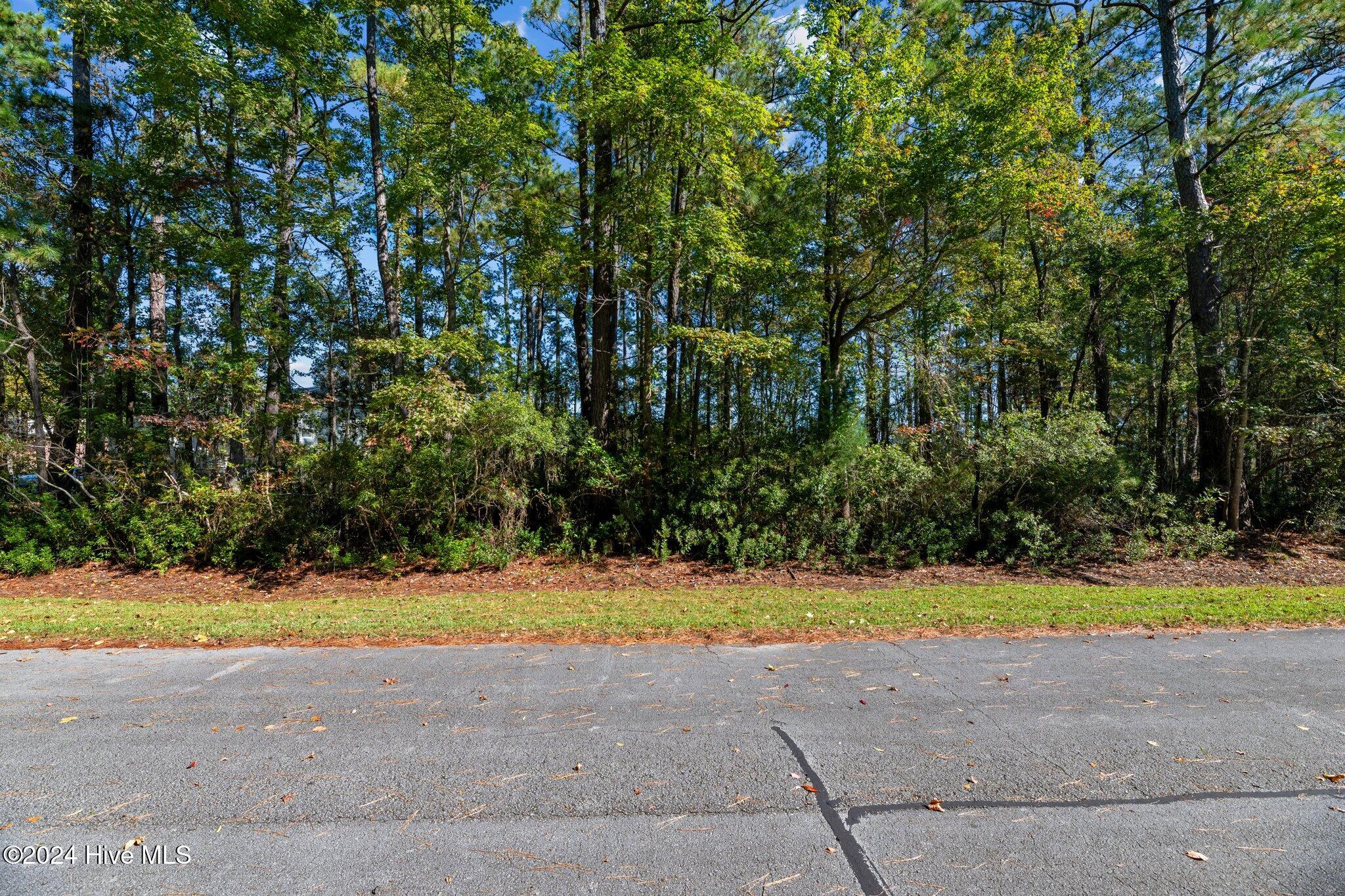1106 Harbour Pointe Drive Property Photo 19