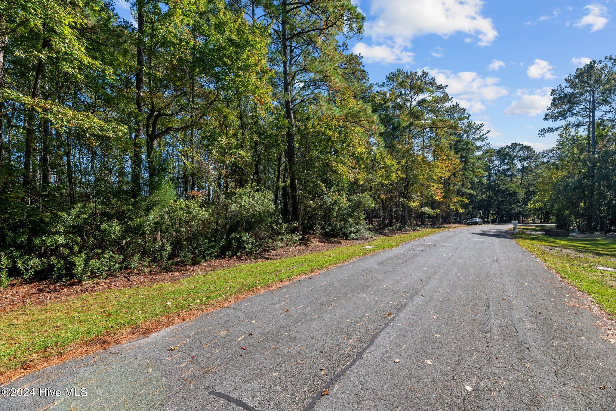 1106 Harbour Pointe Drive Property Photo 20