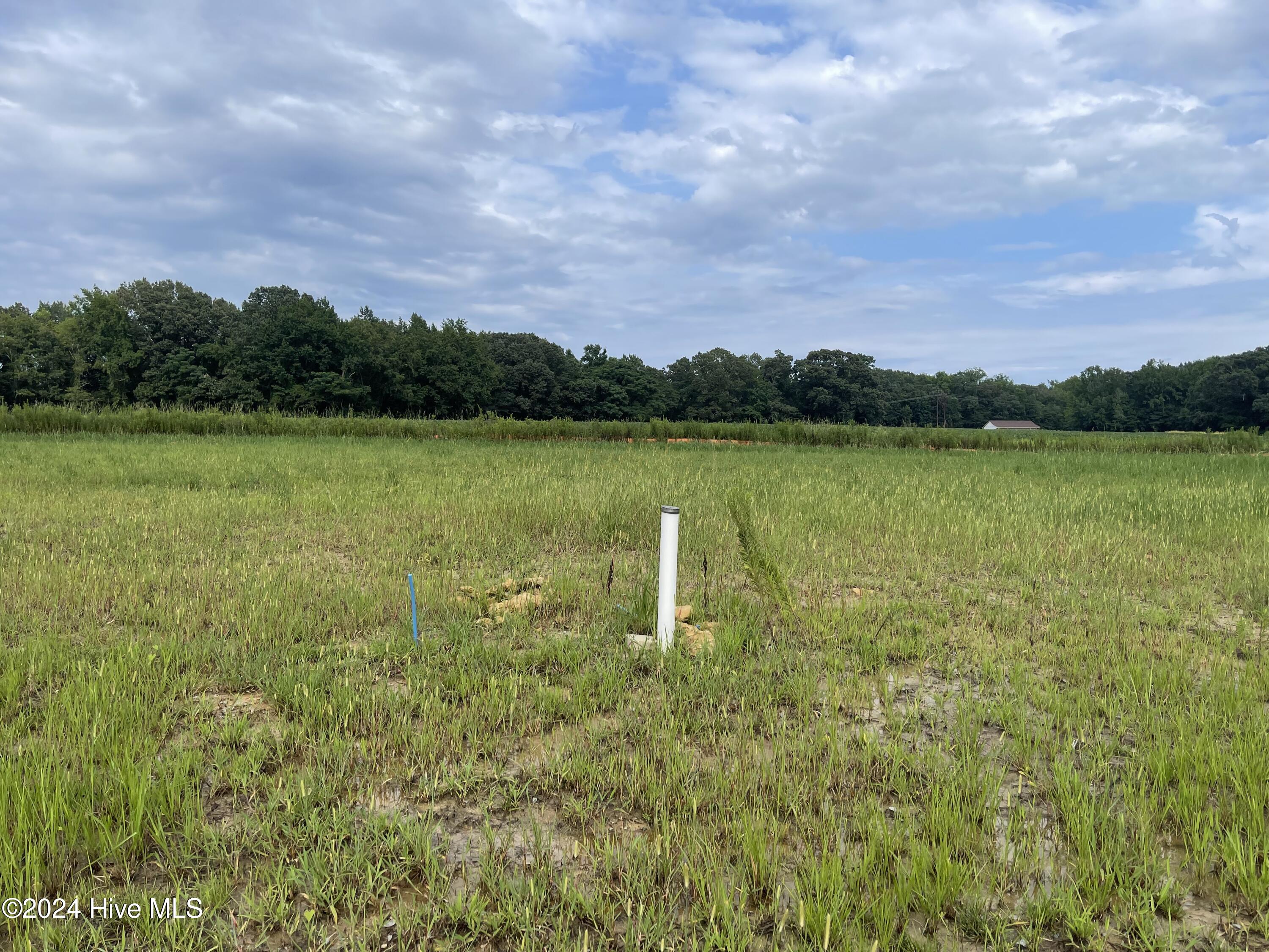 431 Lemonade Lane Property Photo 3