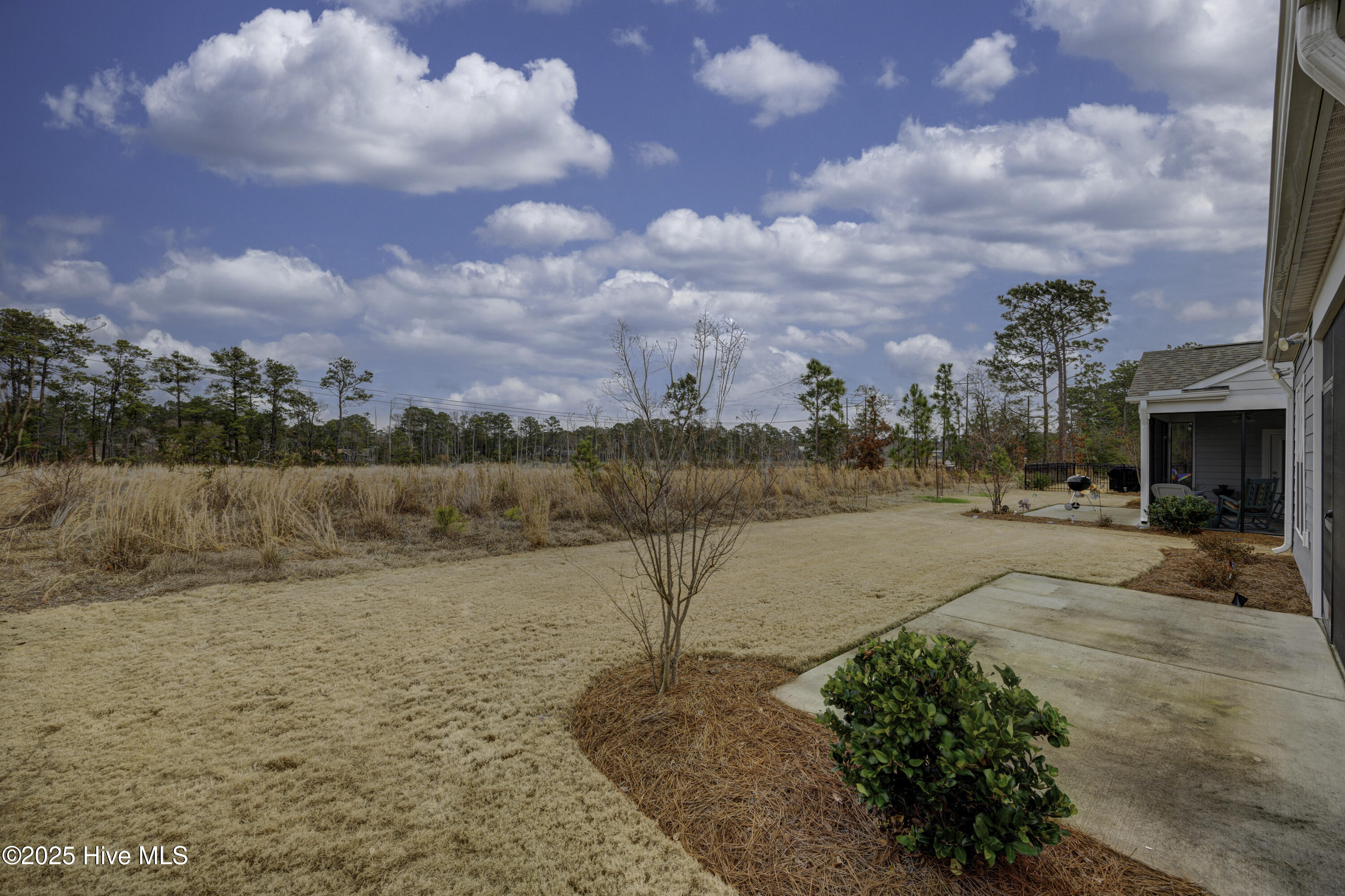 3014 Laughing Gull Terrace Property Photo 29