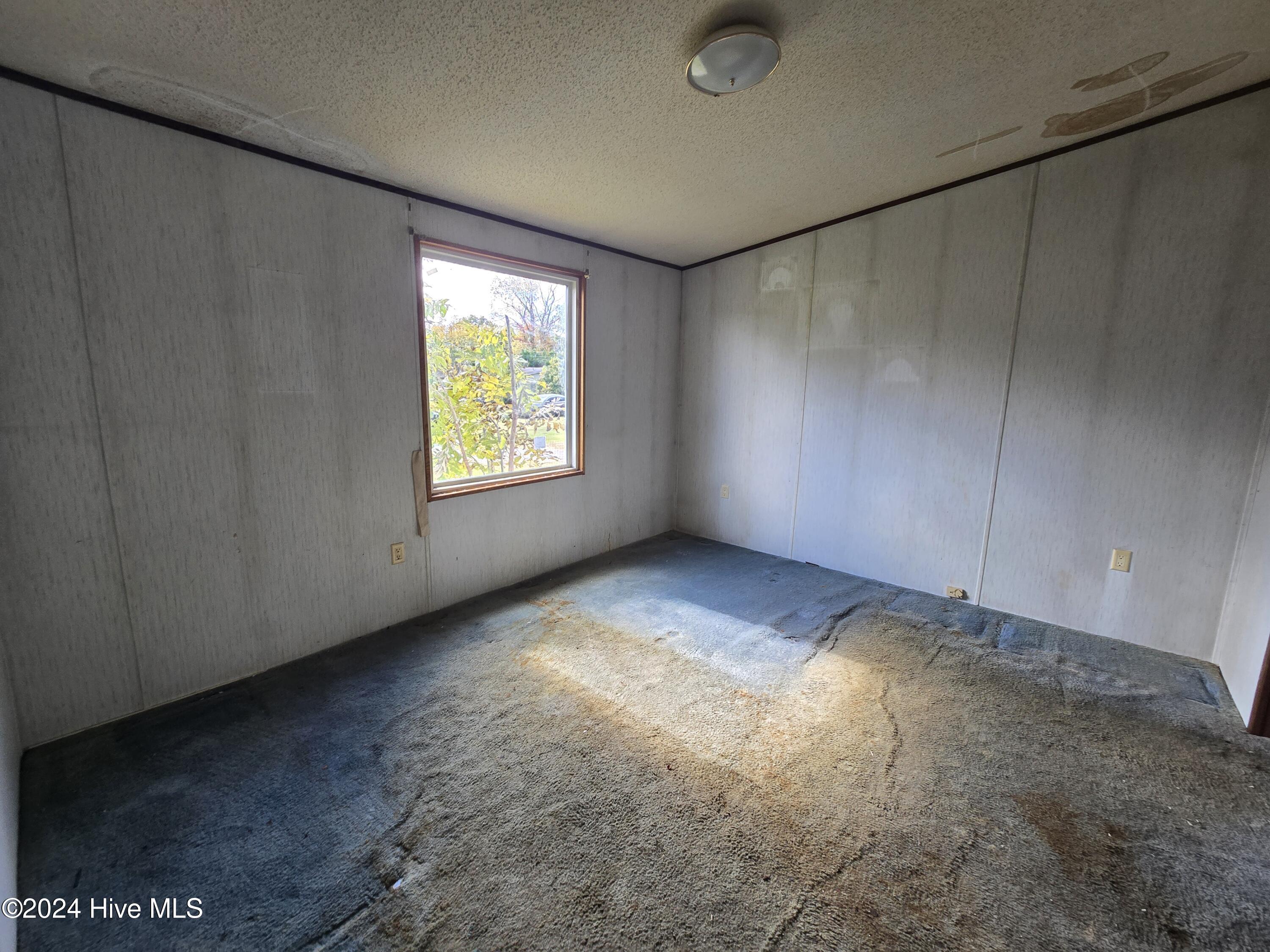 300 Horace Ward Avenue Property Photo 8